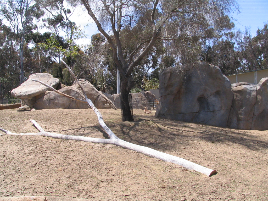 Elephant Odyssey - Pronghorn