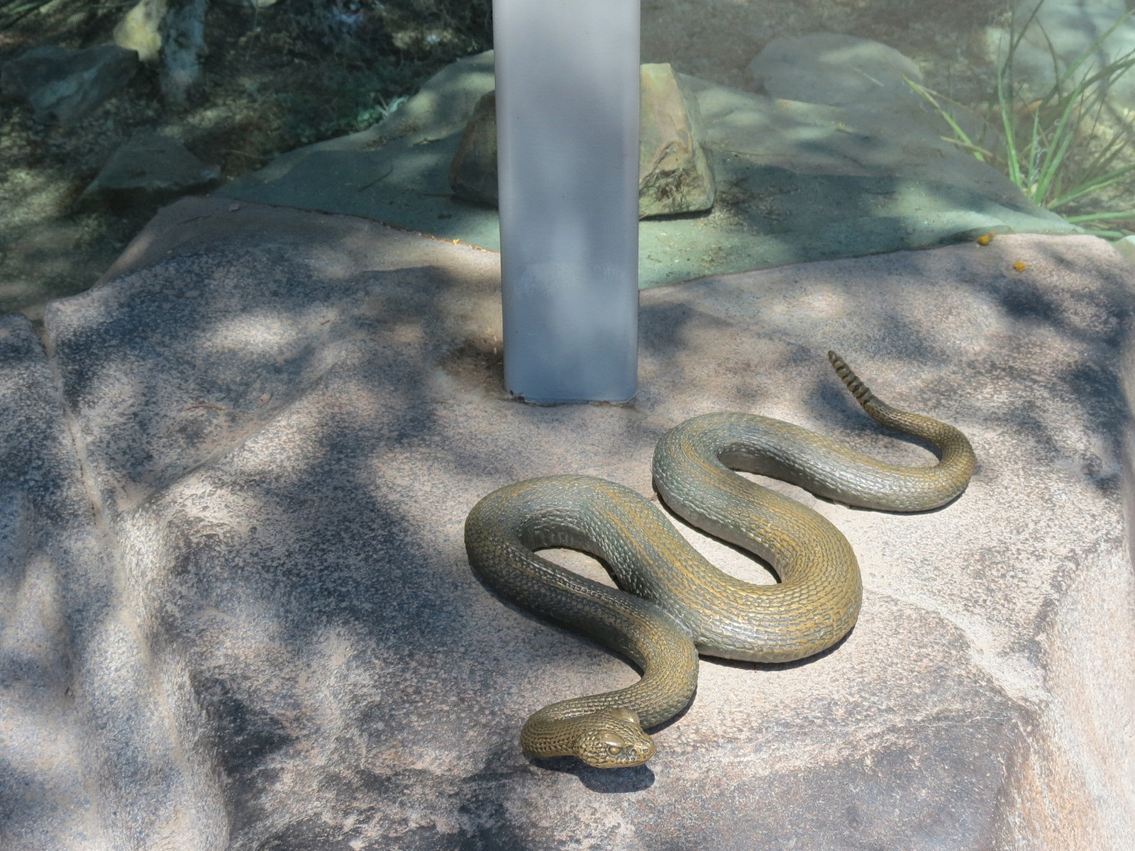 Elephant Odyssey - Rattlesnake Exhibit - Statue