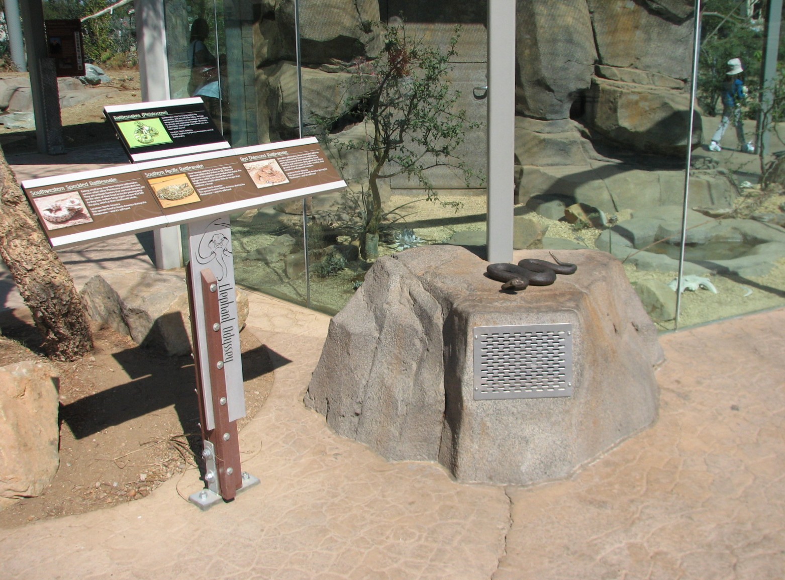 Elephant Odyssey - Rattlesnake Exhibit