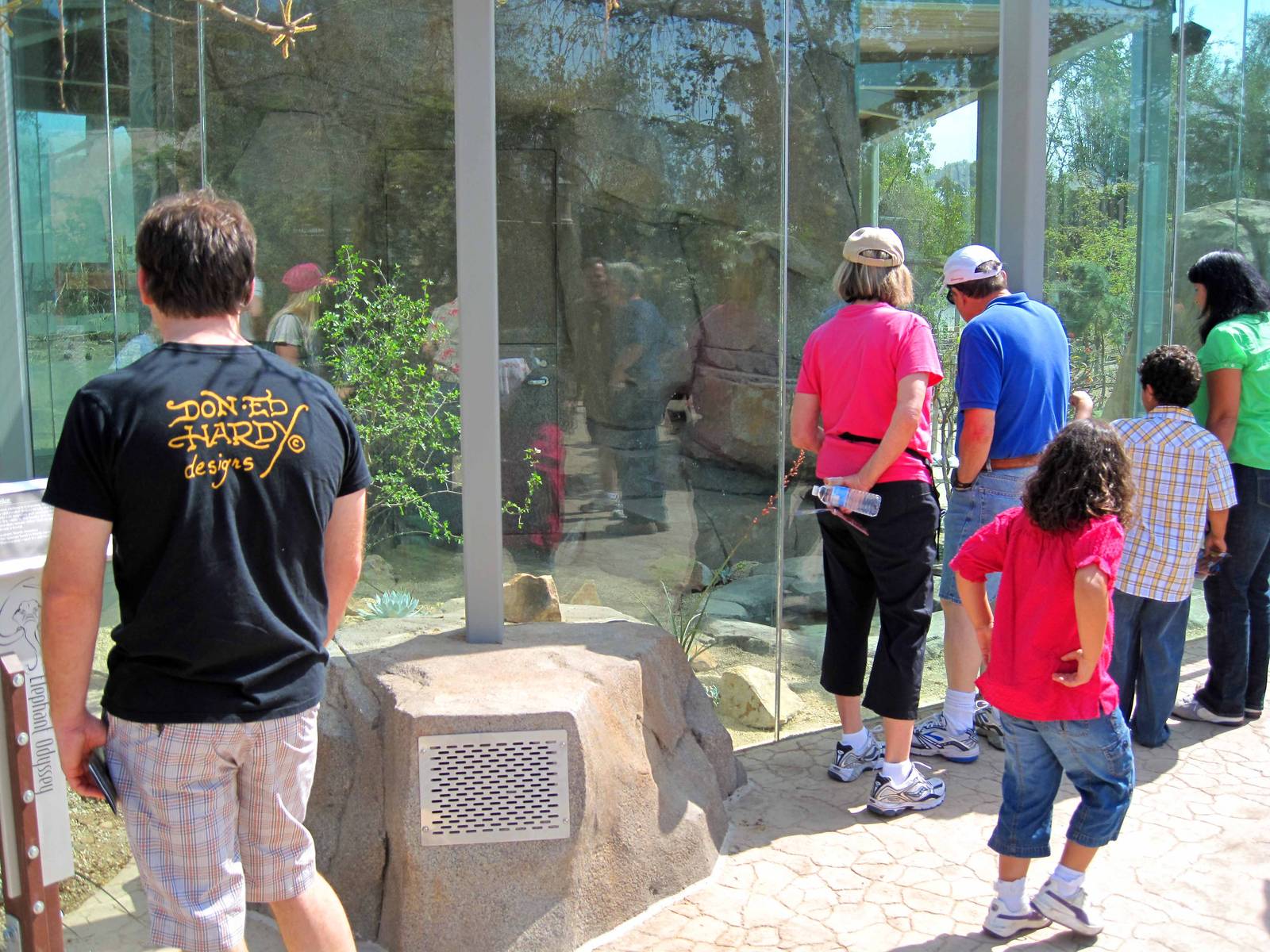 Elephant Odyssey - Rattlesnakes