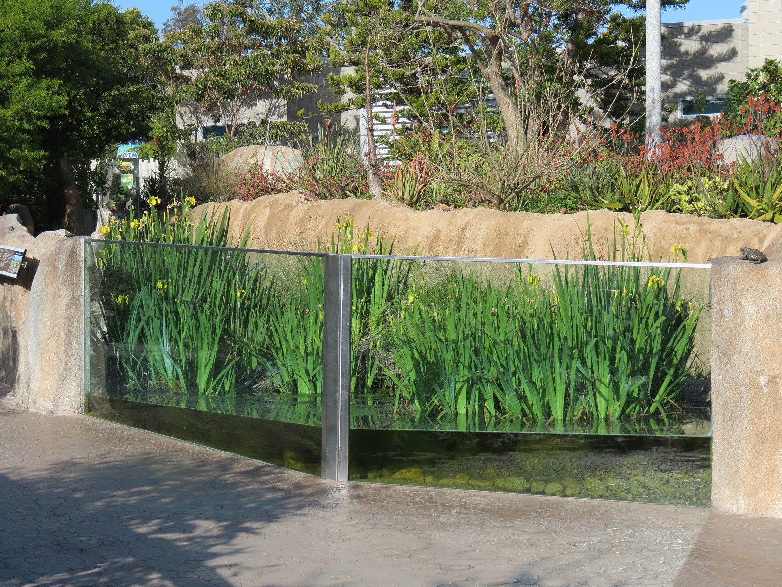 Elephant Odyssey - Reptile and Amphibian Exhibit