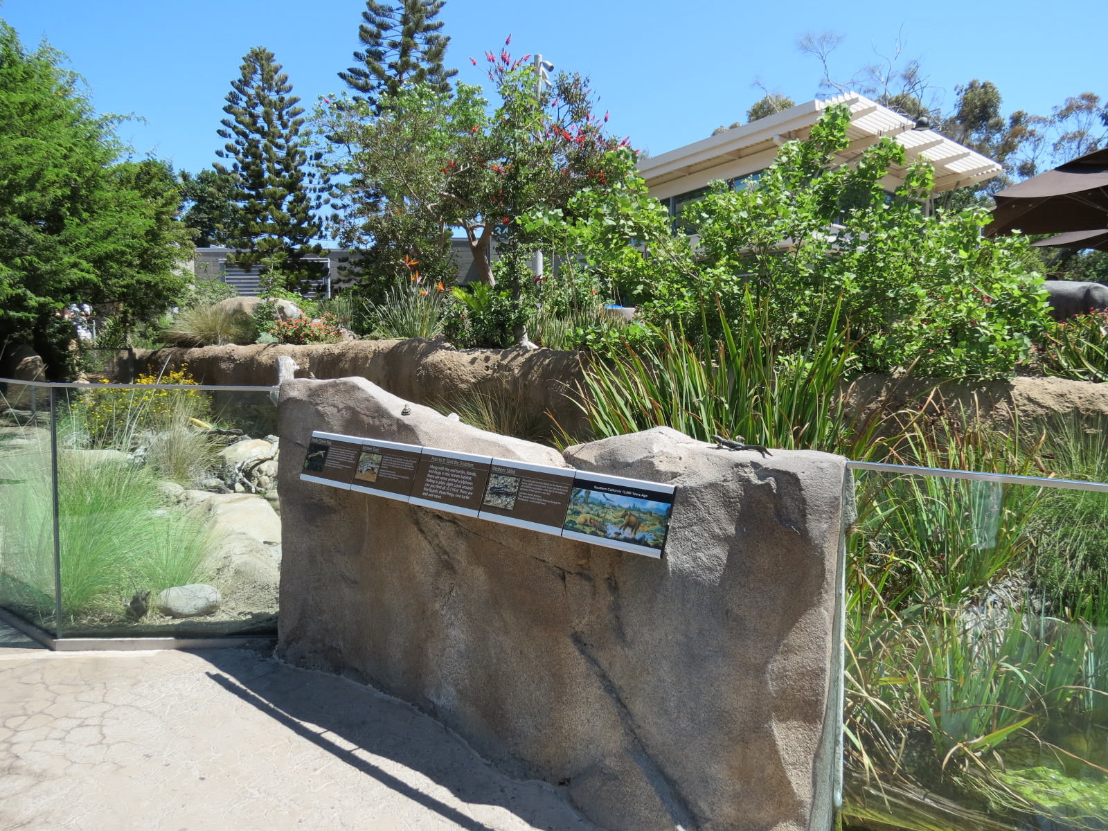 Elephant Odyssey - Reptile and Amphibian Exhibit