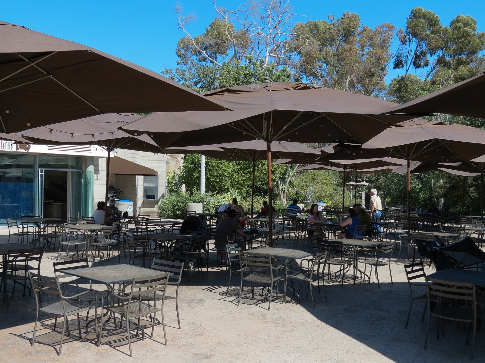 Elephant Odyssey - Sabertooth Grill