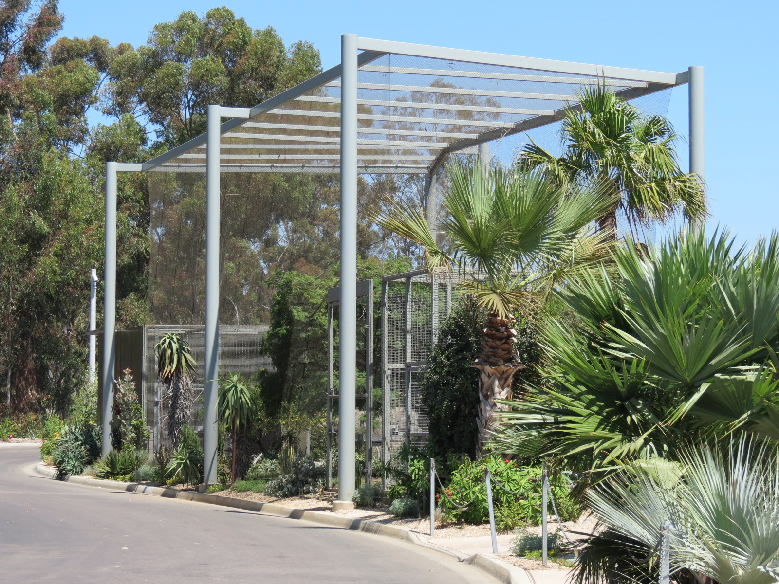 Elephant Odyssey - Secretary Bird and Black-billed Magpie Exhibit