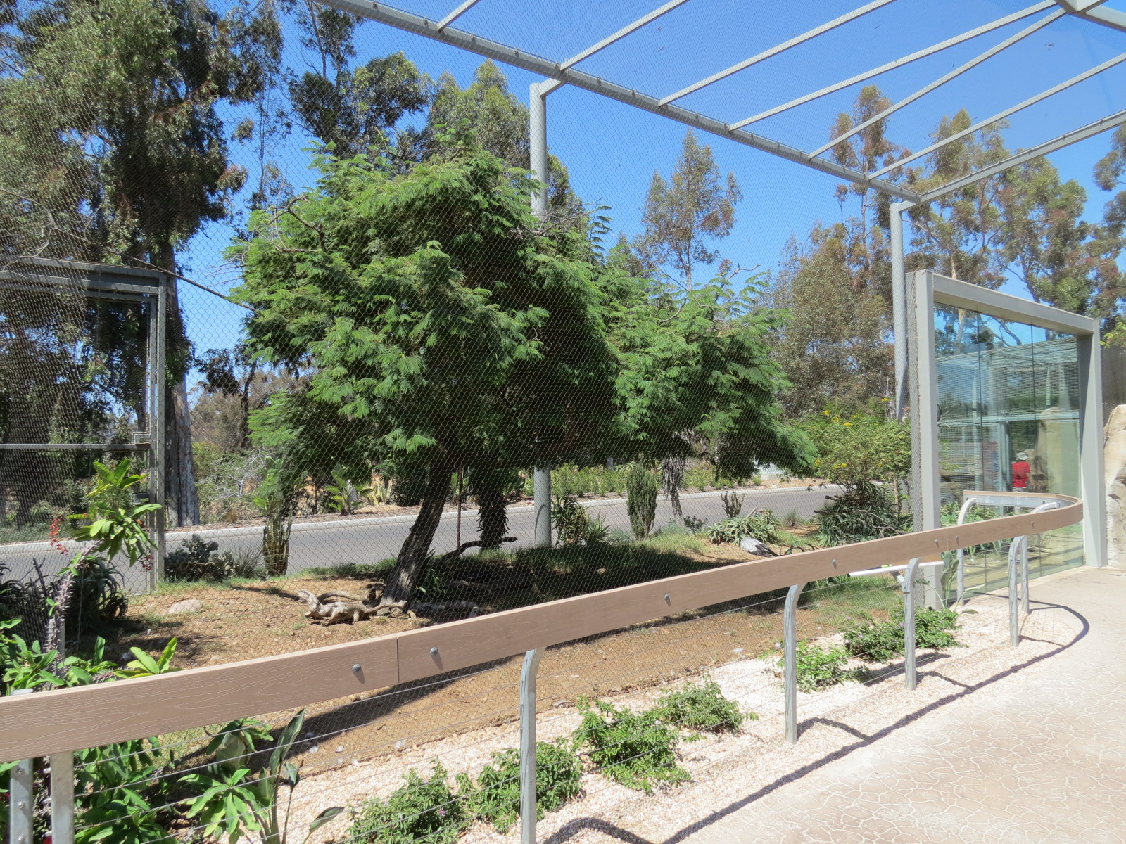 Elephant Odyssey - Secretary Bird and Black-billed Magpie Exhibit