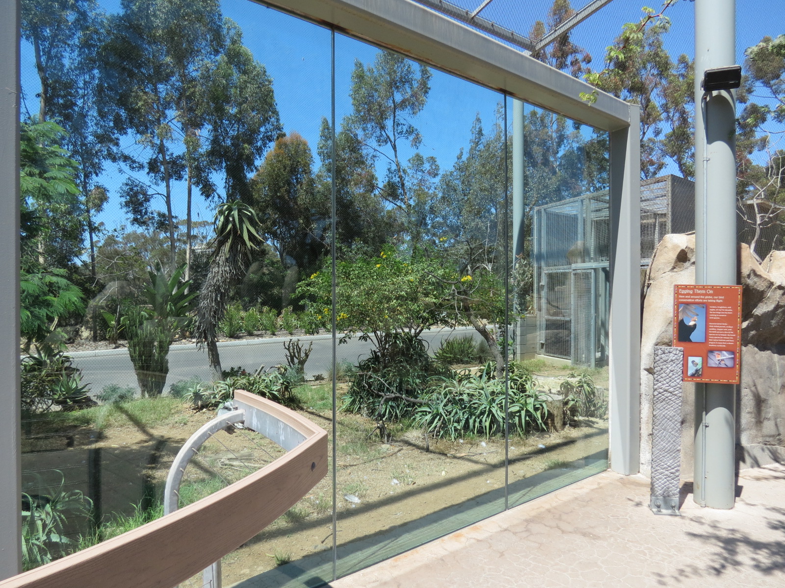 Elephant Odyssey - Secretary Bird and Black-billed Magpie Exhibit