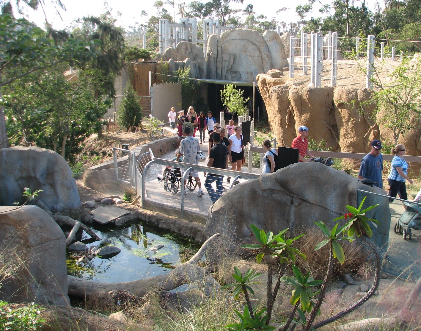 Elephant Odyssey - Stream Exhibit