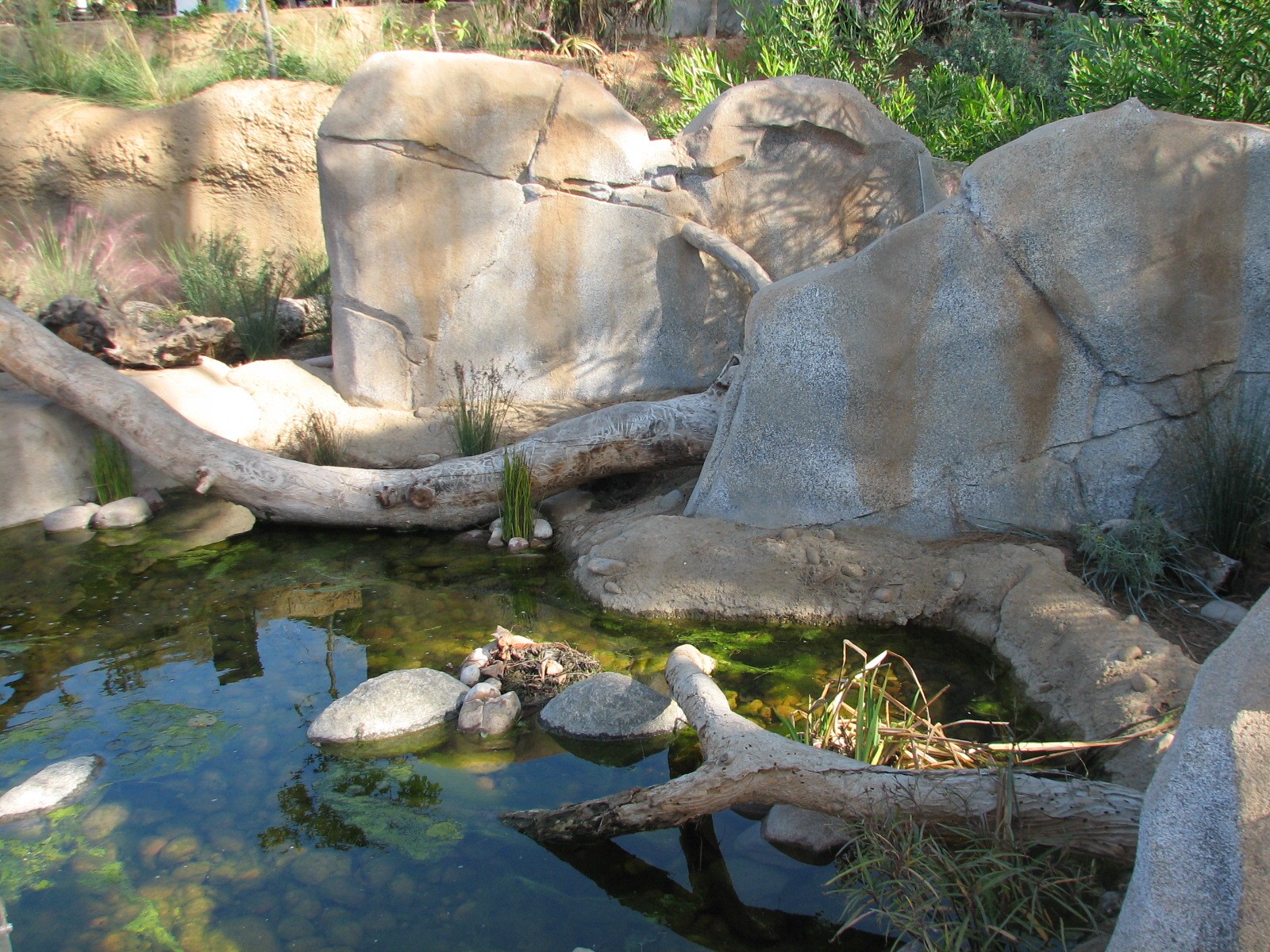 Elephant Odyssey - Stream Exhibit