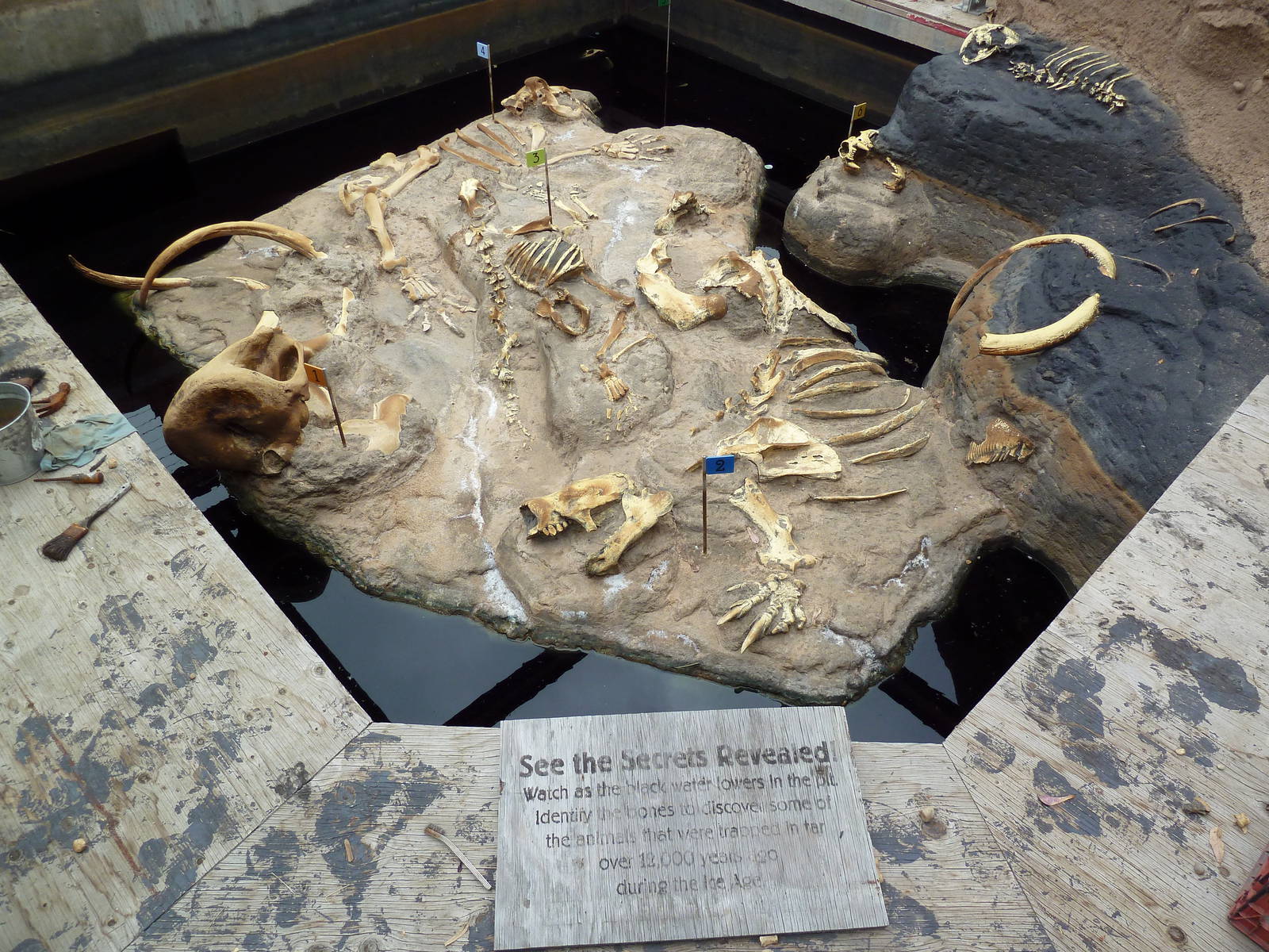 Elephant Odyssey - Tar Pit