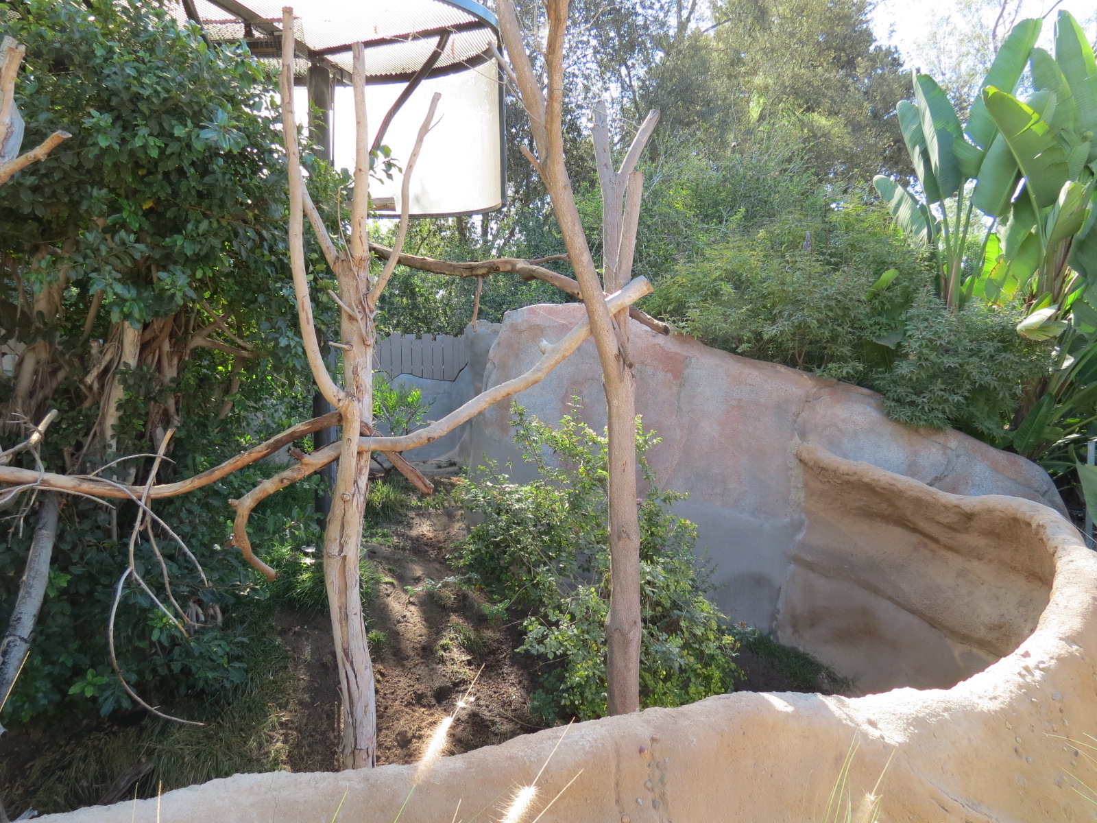 Elephant Odyssey - Two-toed Tree Sloth and Kirks Dik-dik Exhibit