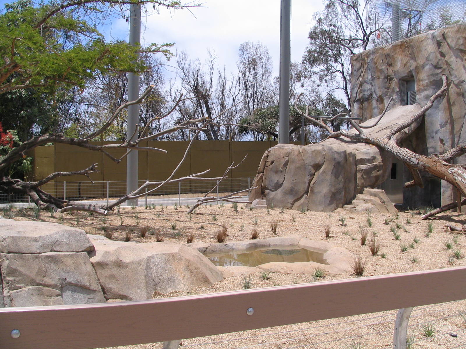Elephant Odyssey - Unfinished Lion Exhibit