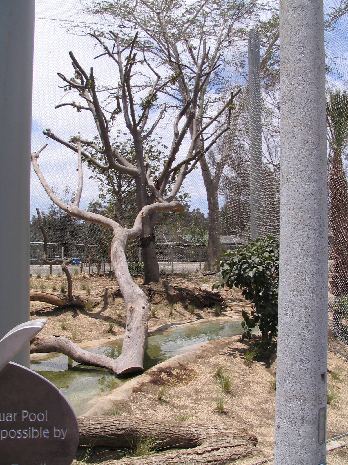 Elephant Odyssey - Unifinished Jaguar Enclosure 2nd half