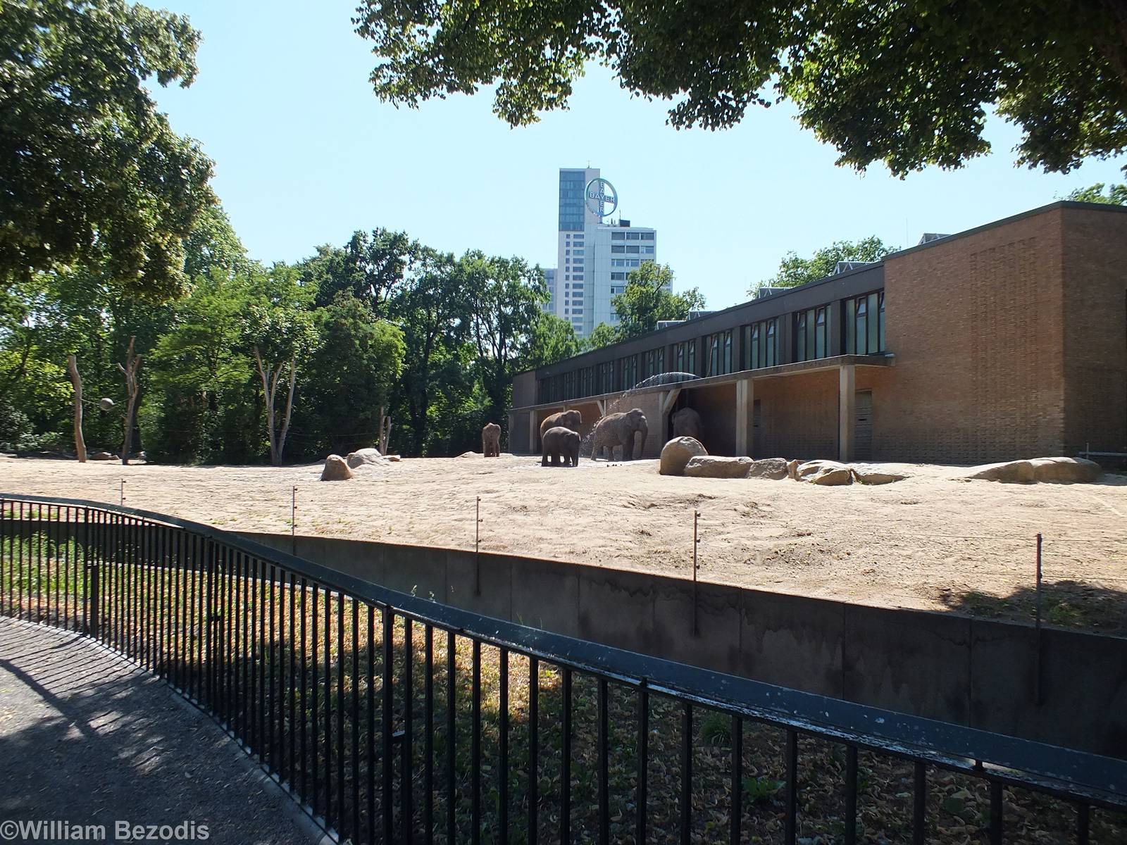 Elephant Outdoor Area