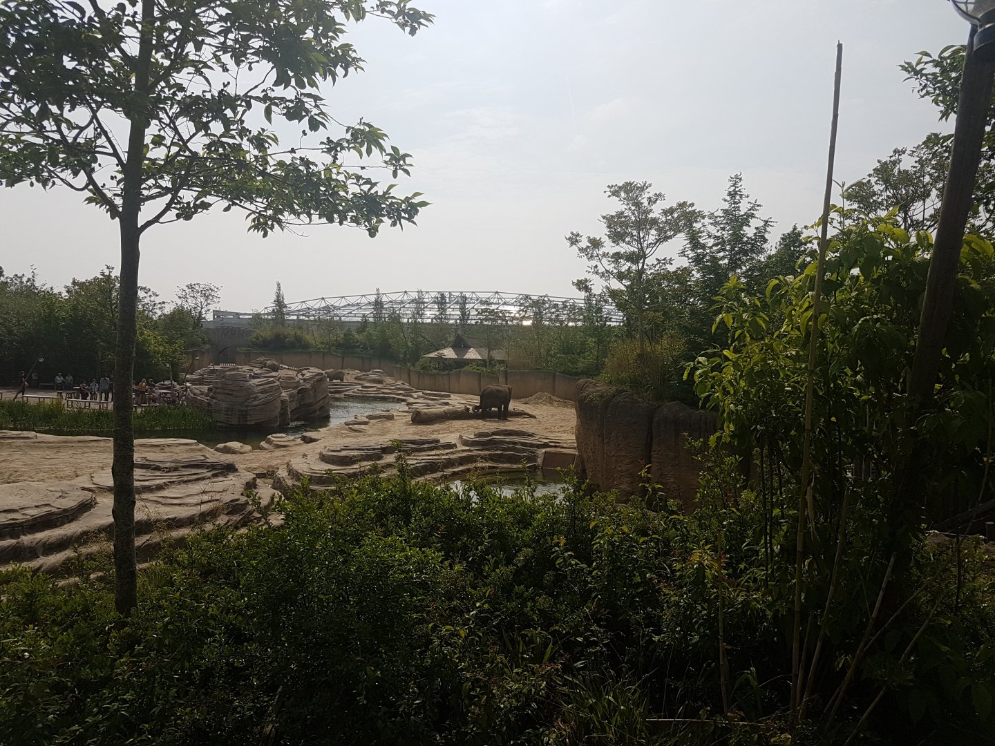 Elephant outdoor-enclosure and Tropical Hall