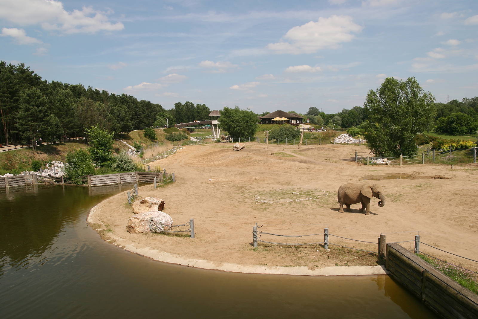 Elephant outdoor enclosure