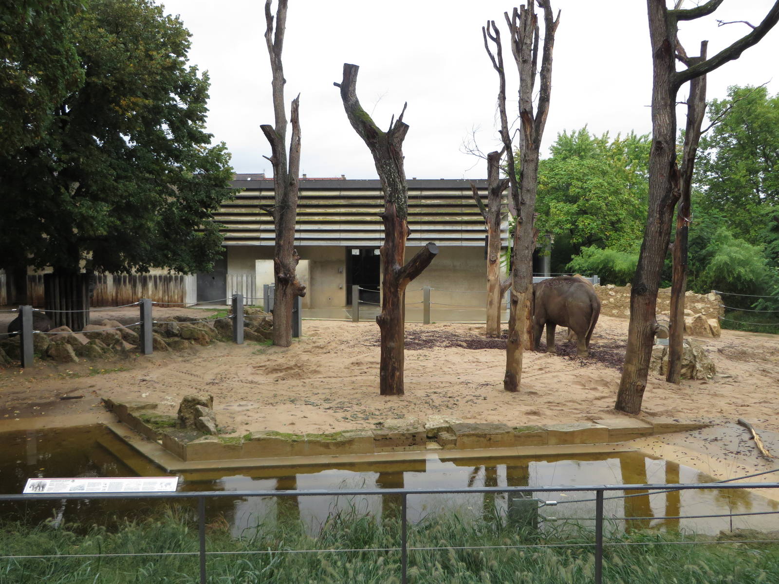 Elephant outdoor enclosure
