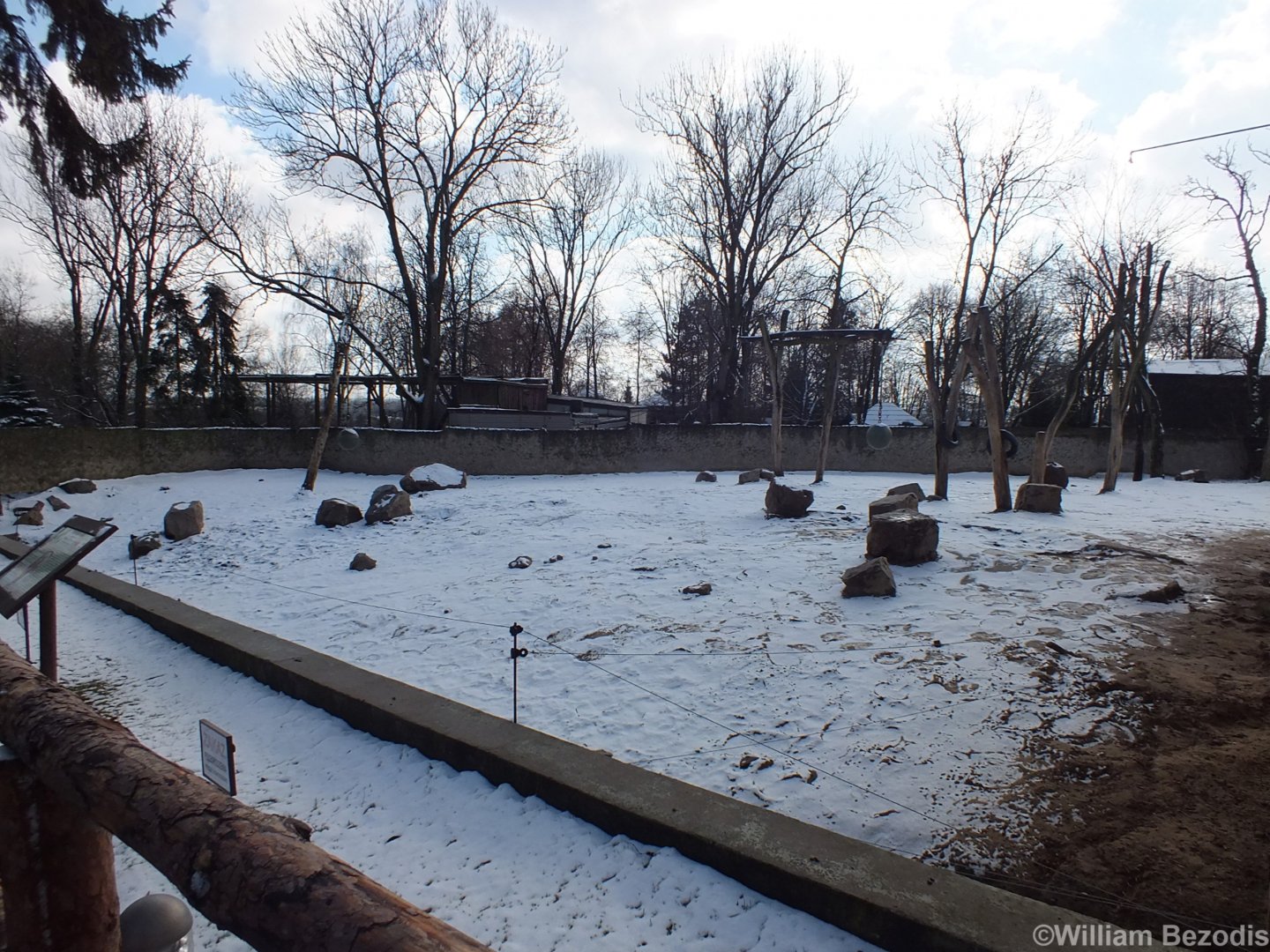 Elephant Outdoor Enclosure