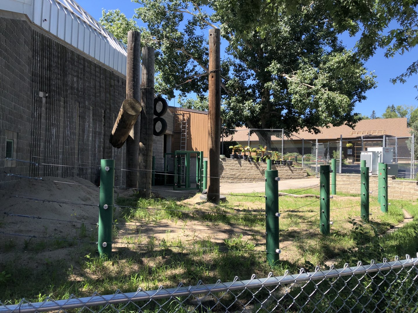 Elephant Outdoor Paddock at Edmonton Valley Zoo (July 2022)