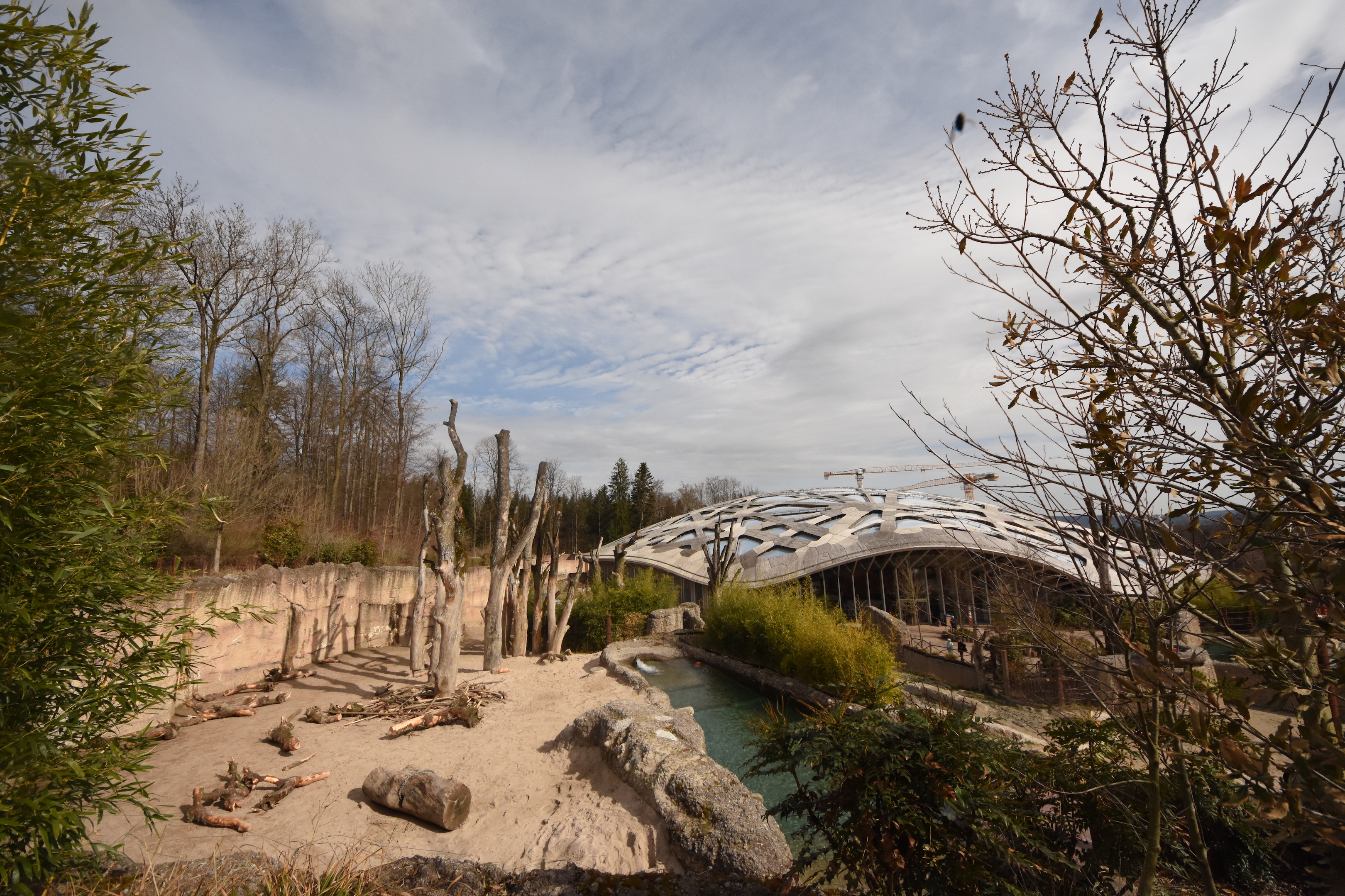 Elephant outdoors - Bull enclosure