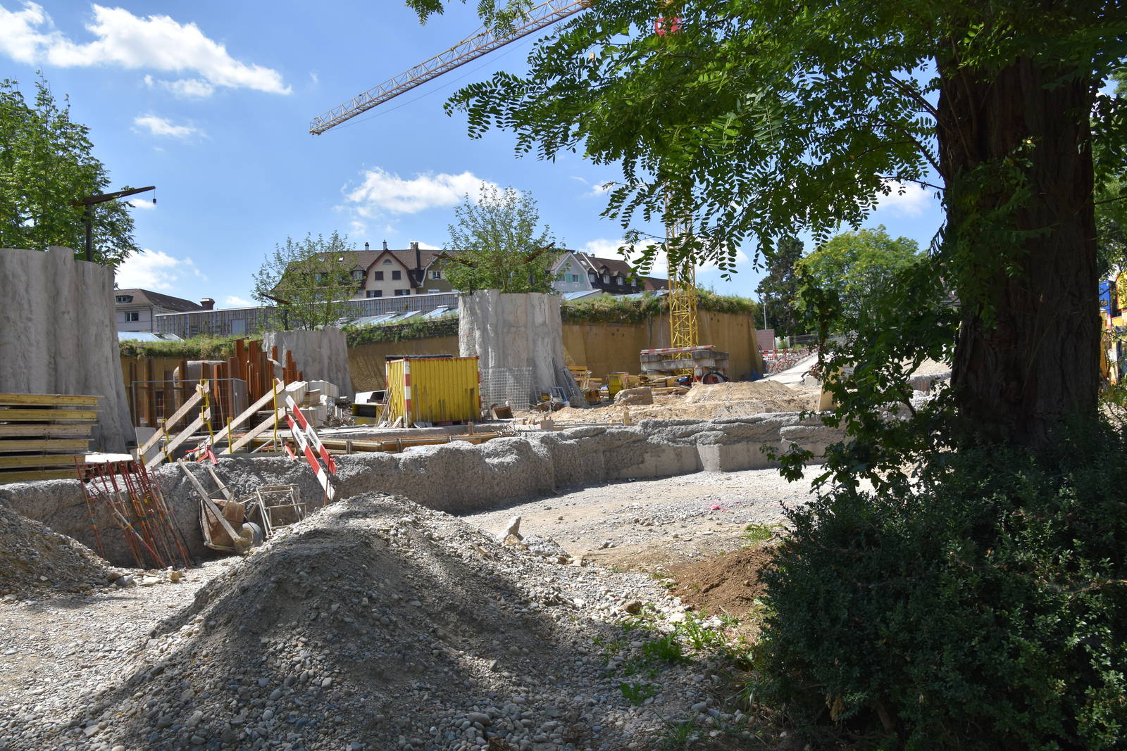 Elephant outdoors construction work