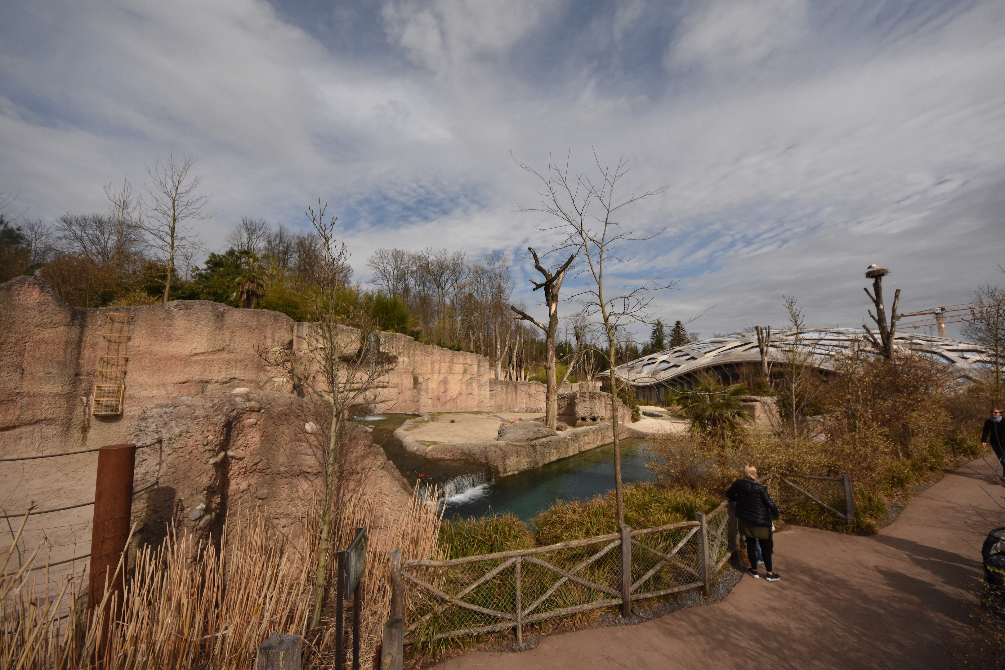Elephant outdoors - Main enclosure