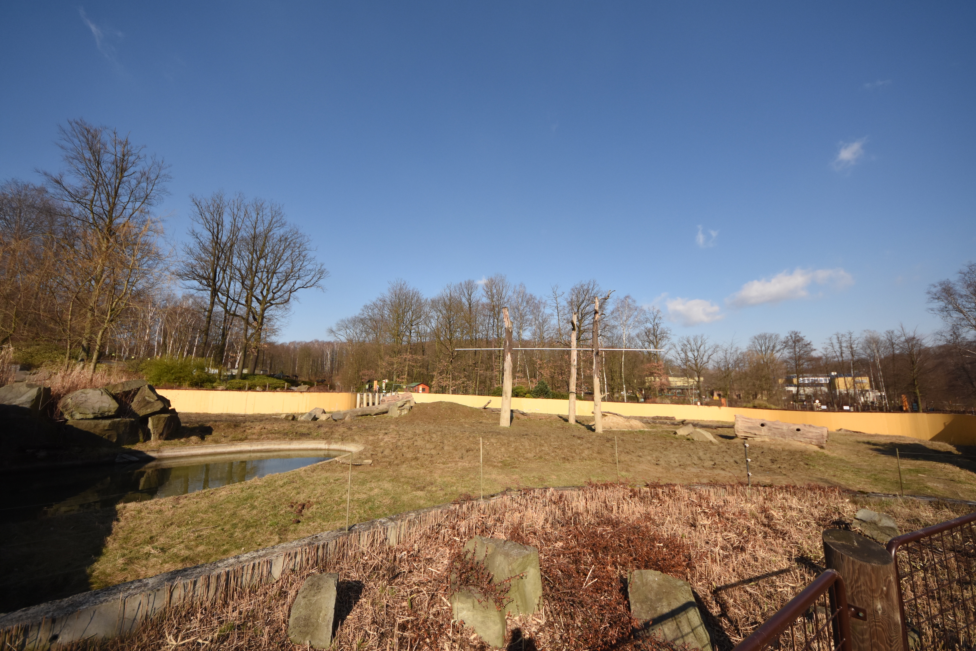 Elephant outdoors - Main enclosure