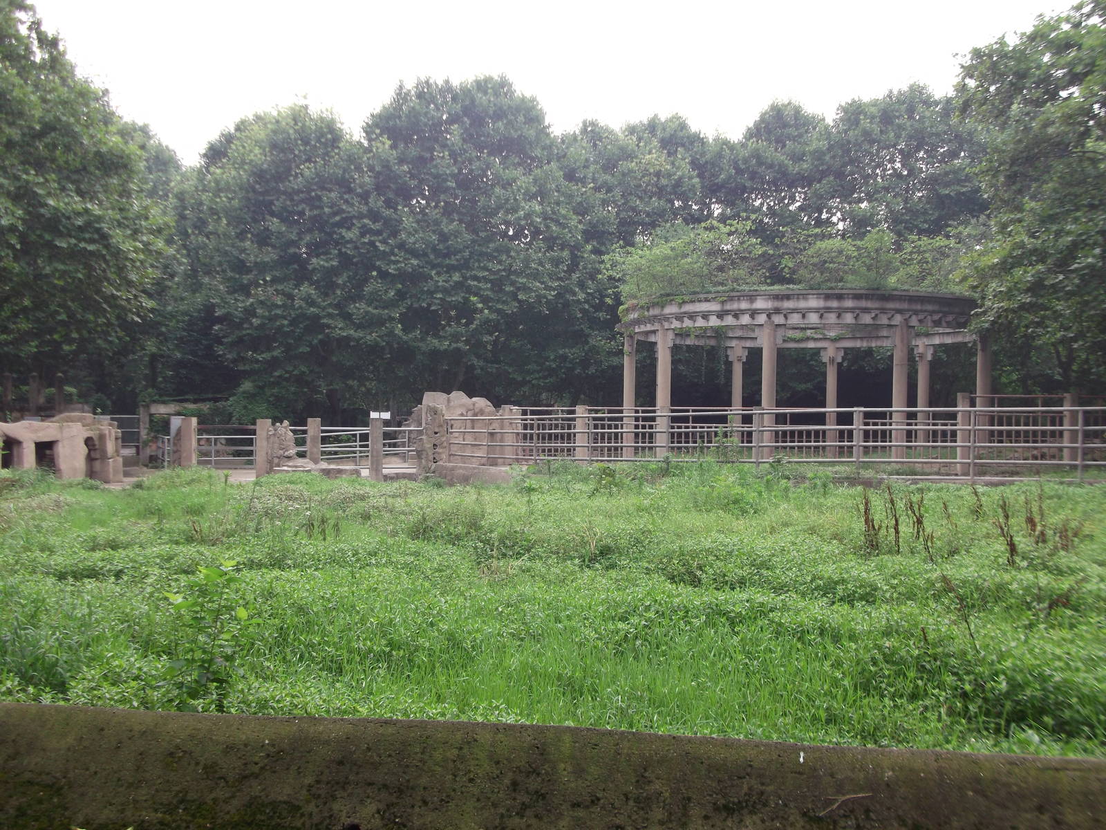 Elephant outdoors ...