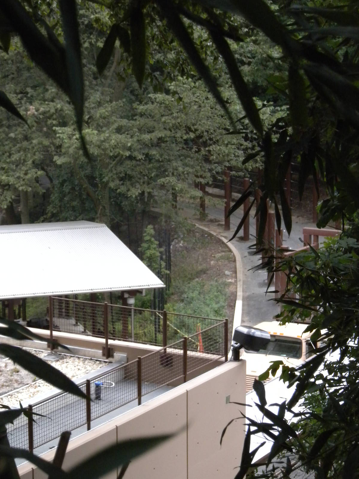 Elephant Outpost Construction