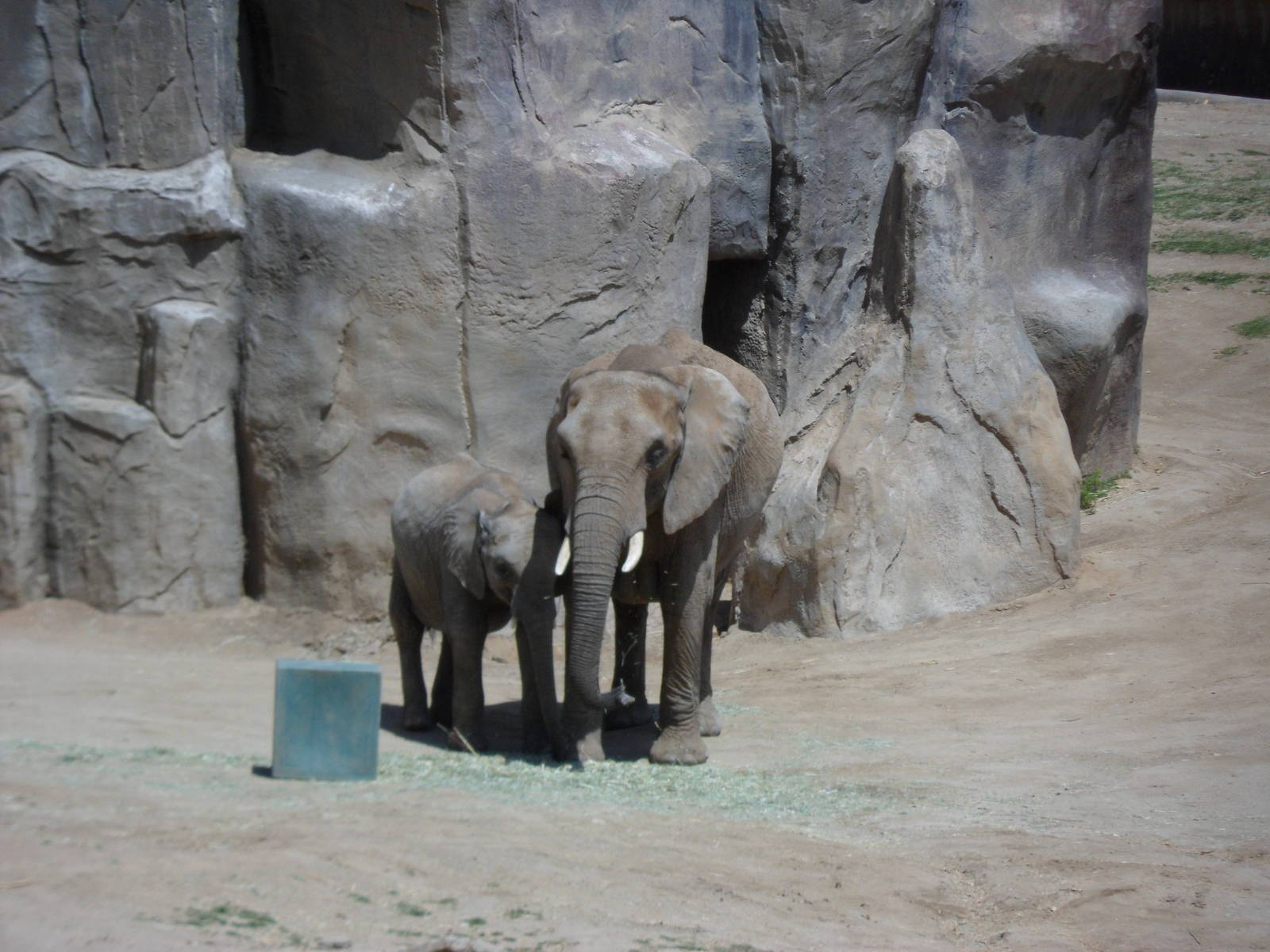 Elephant Overlook