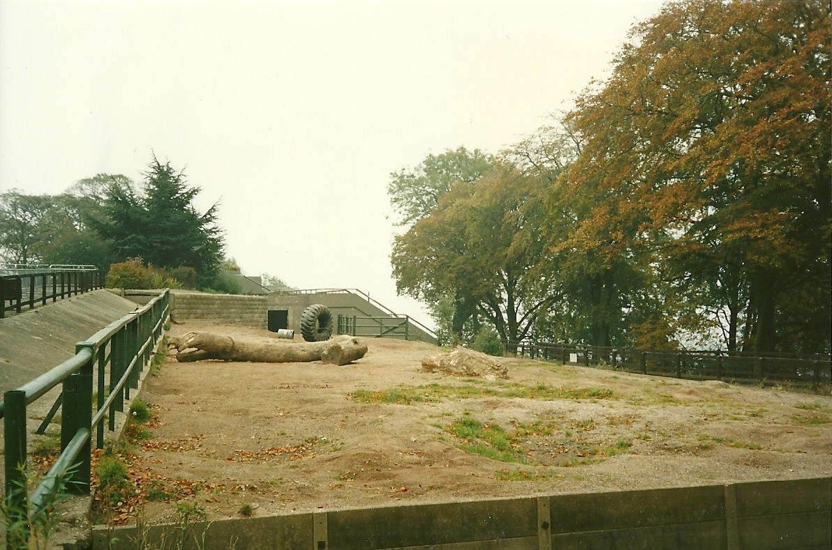 Elephant Paddock 1st November 1997