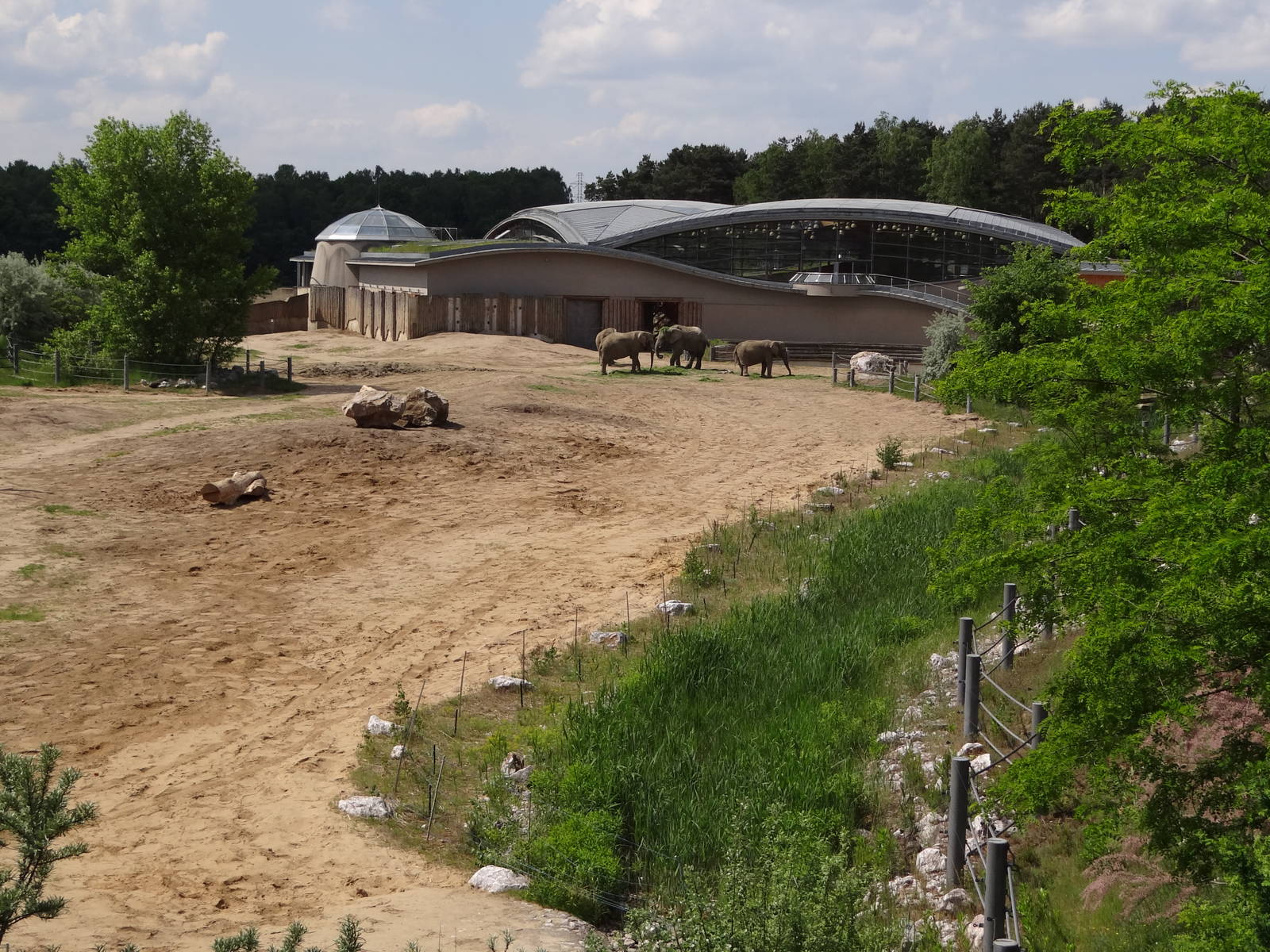 Elephant paddock and house