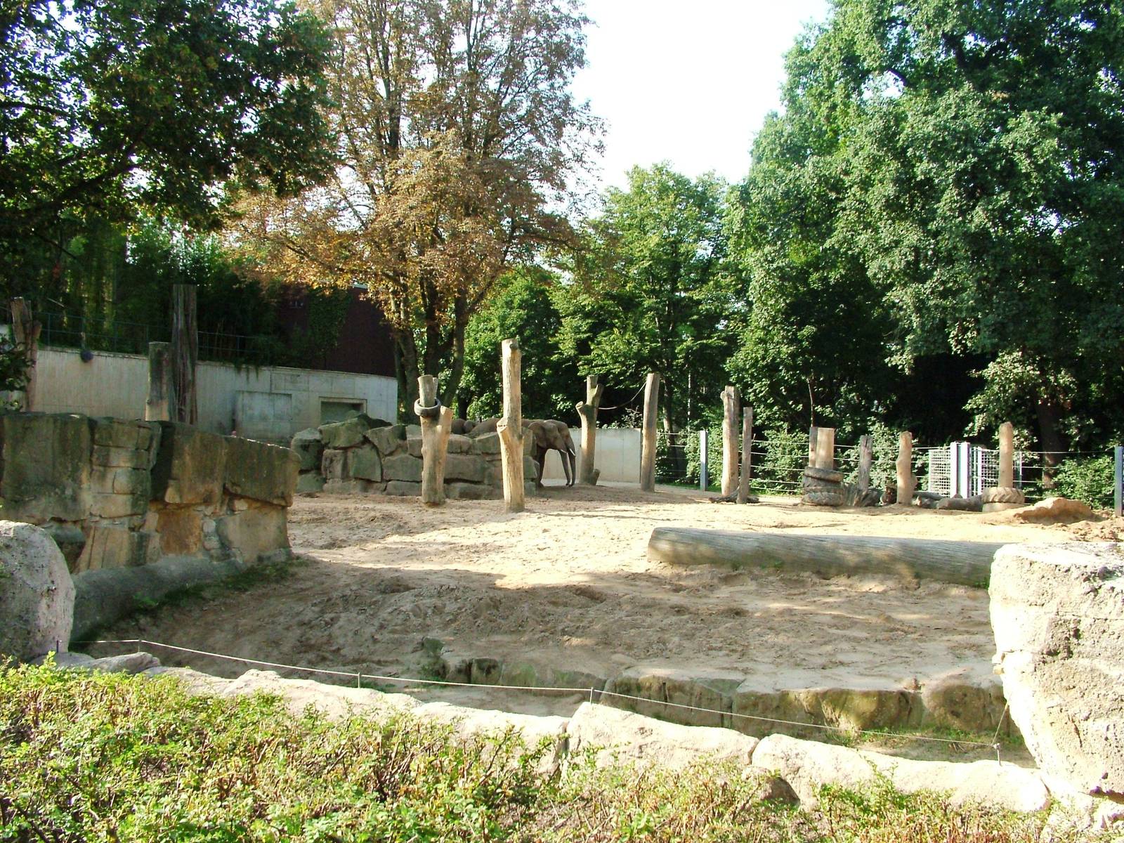 Elephant Paddock at Dresden, 29/08/12