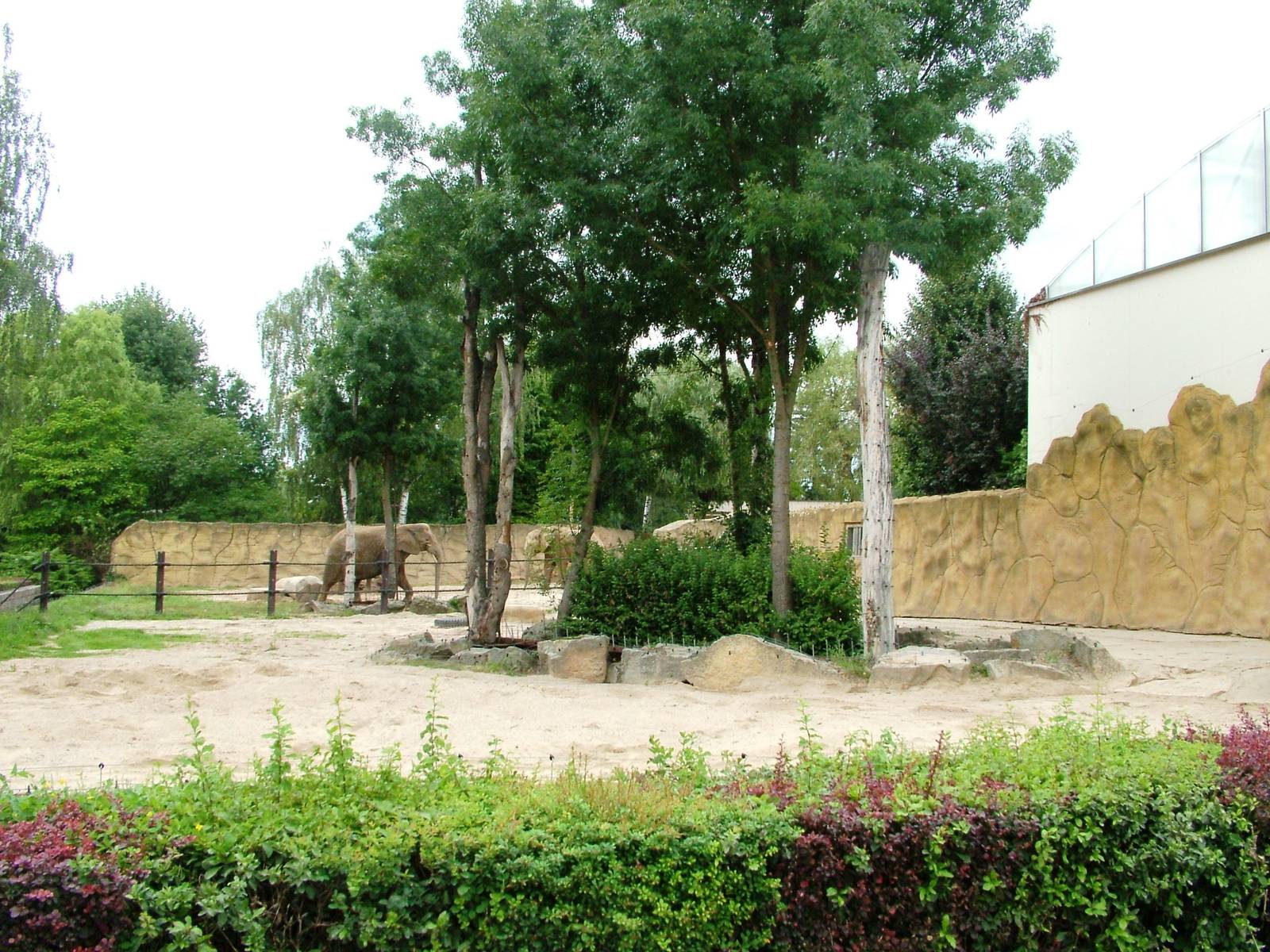 Elephant Paddock at Dvur Kralove, 27/08/12
