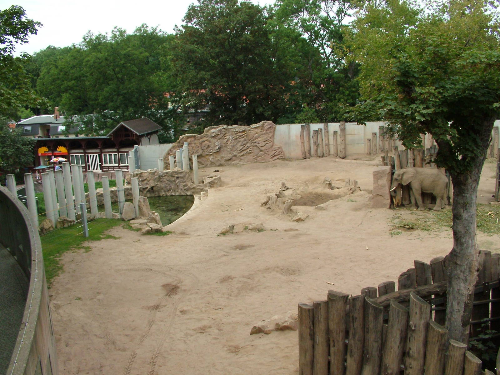 Elephant Paddock at Halle, 04/09/11