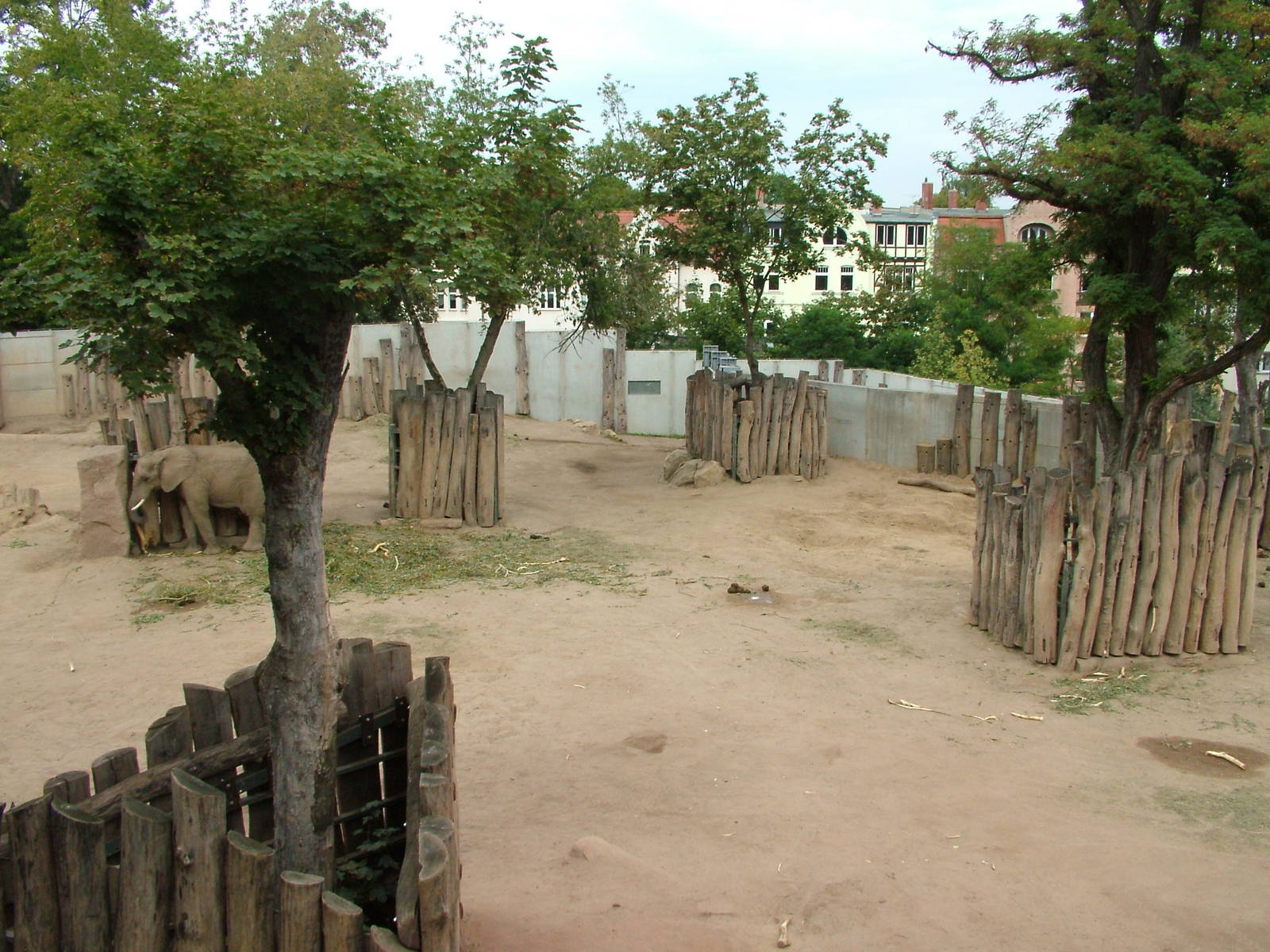 Elephant Paddock at Halle, 04/09/11