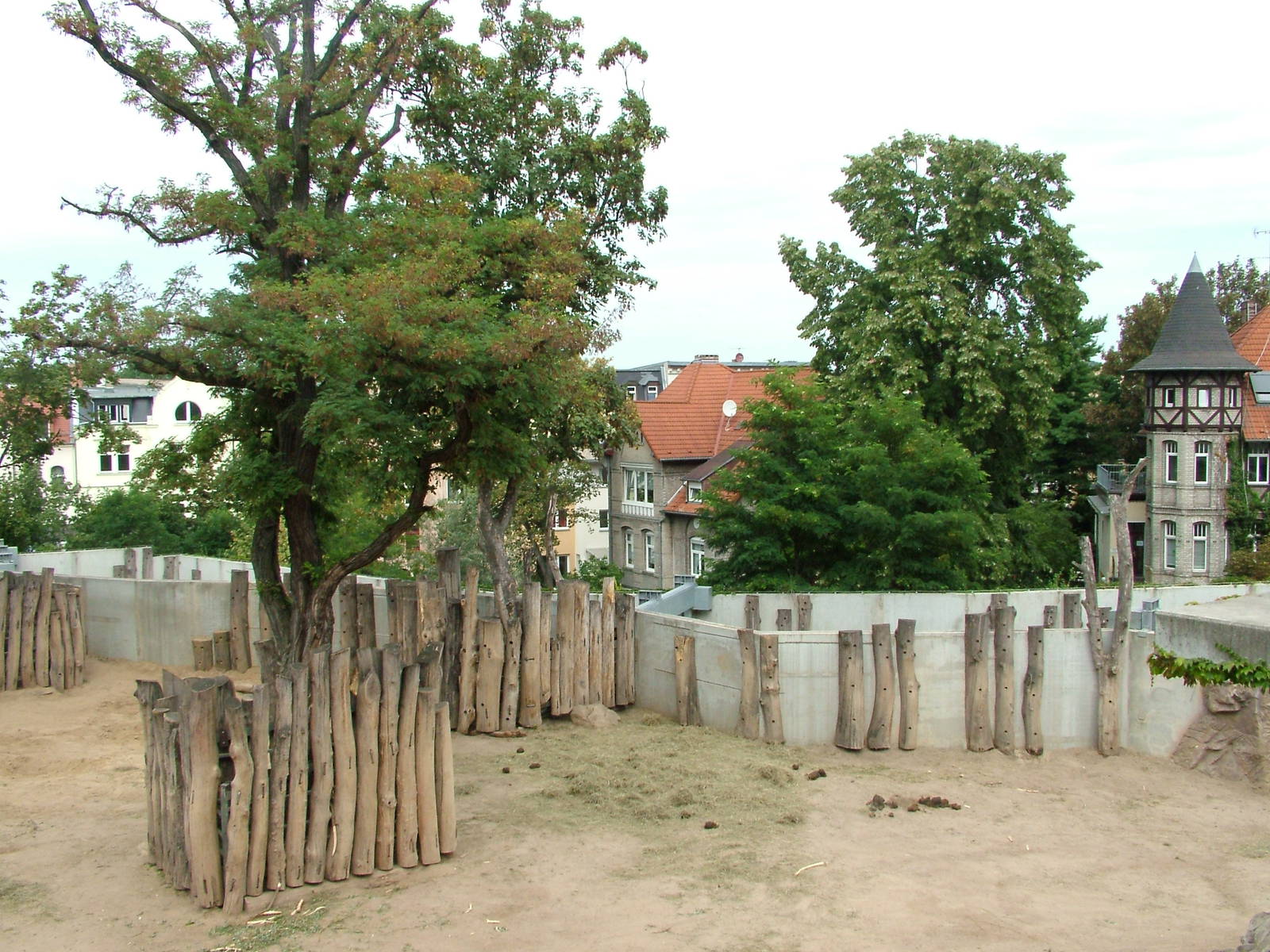 Elephant Paddock at Halle, 04/09/11