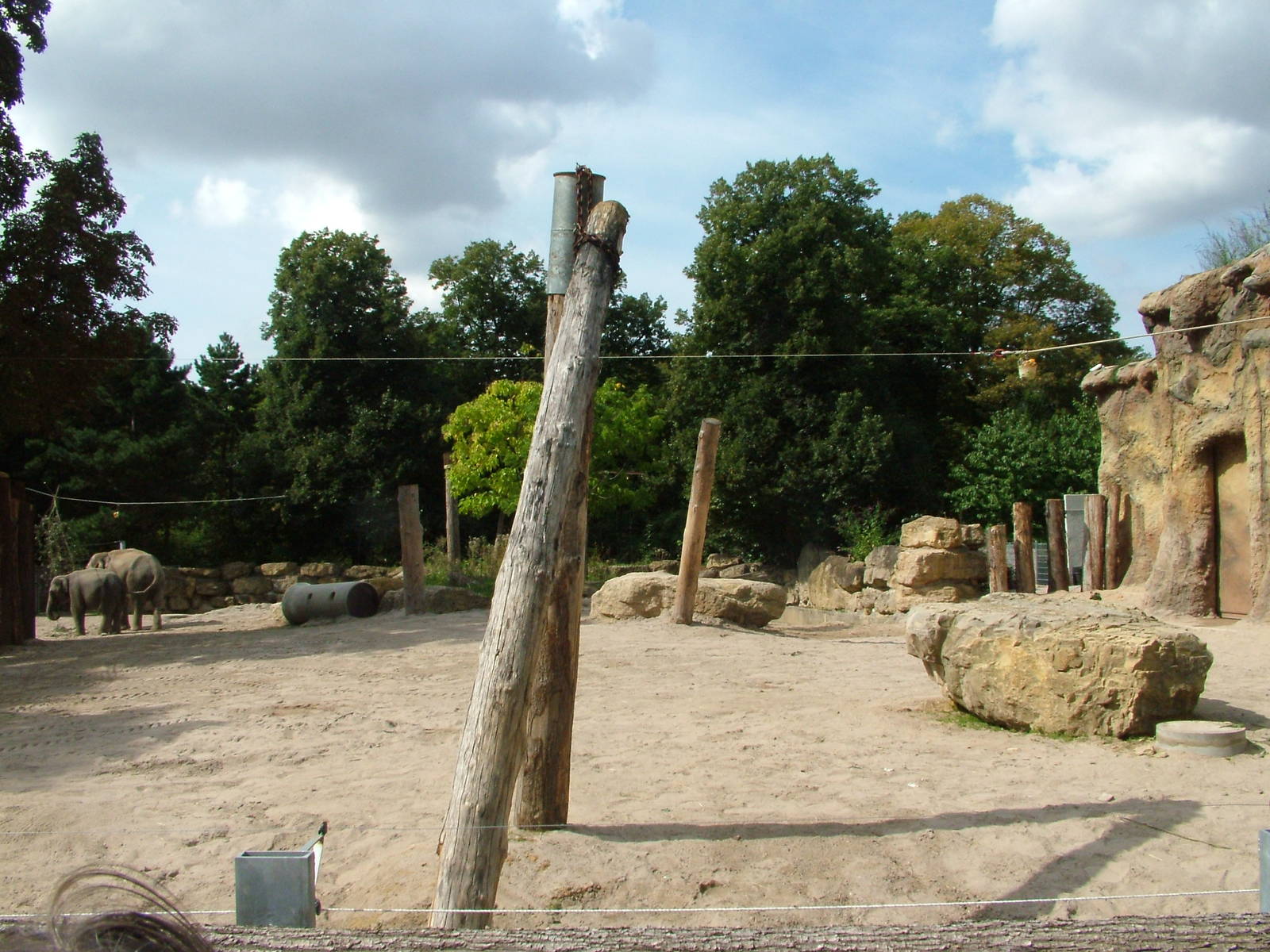 Elephant Paddock at Heidelberg, 05/09/10