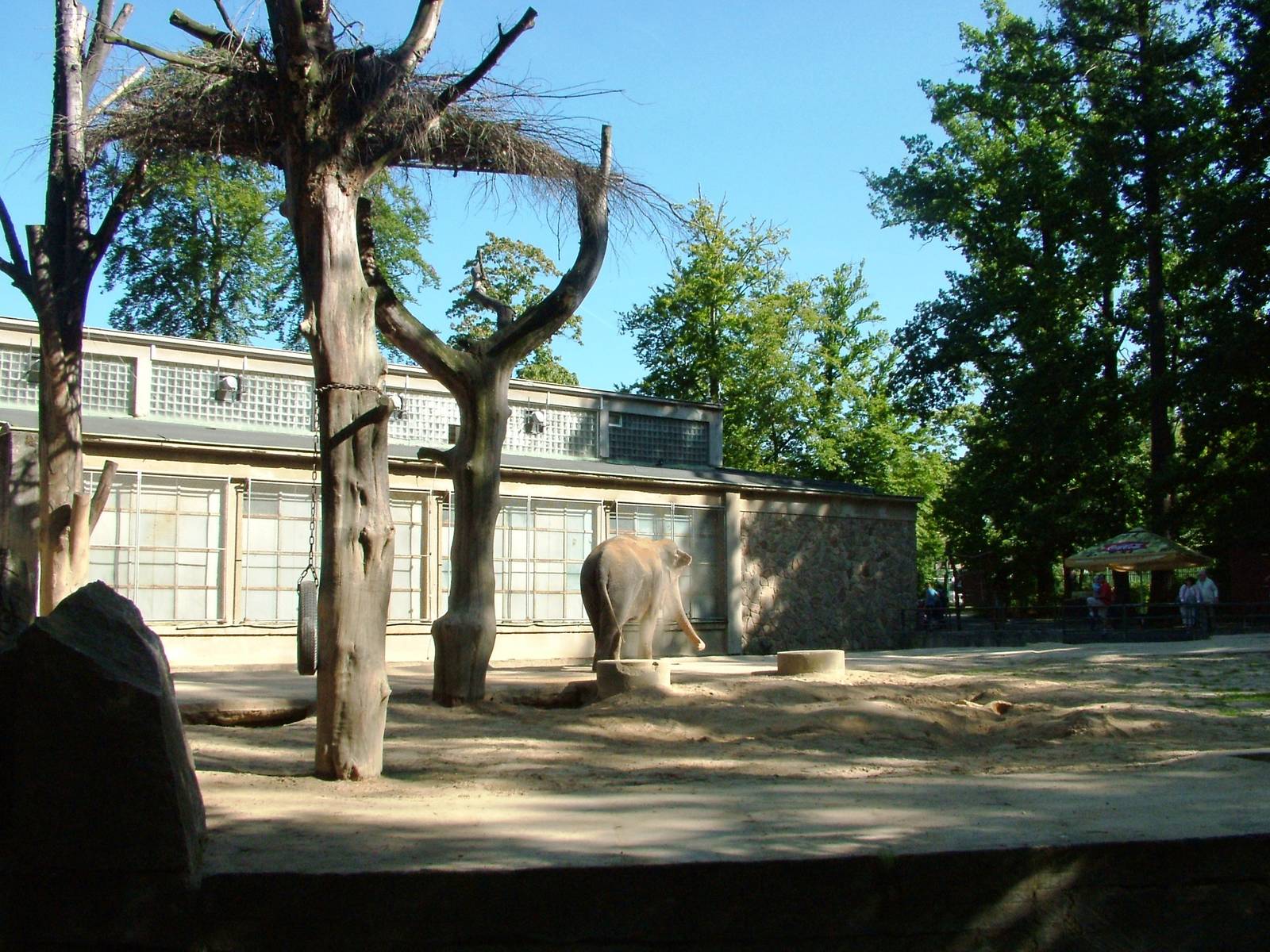 Elephant Paddock at Liberec, 28/08/12