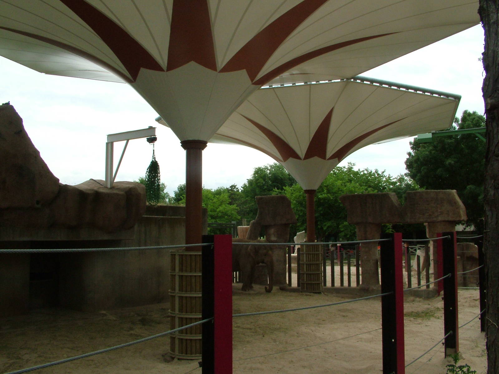 Elephant Paddock at Madrid Zoo Aquarium, 26/05/11