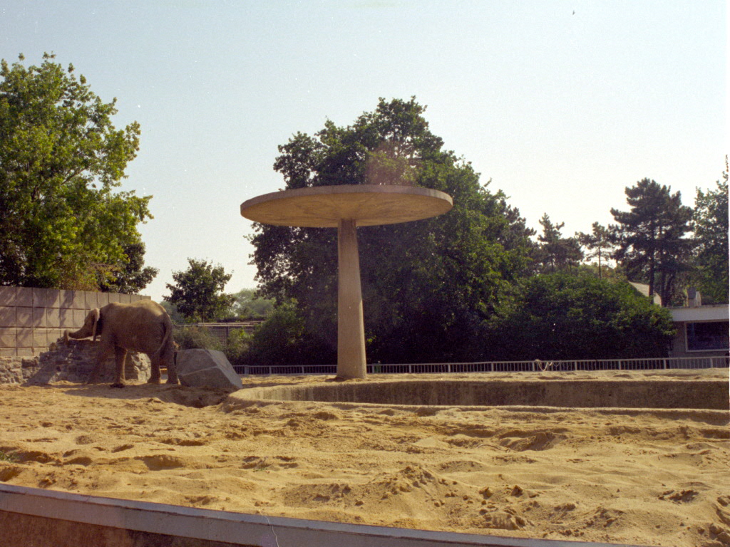 Elephant paddock at Magdeburg 09/09/2005