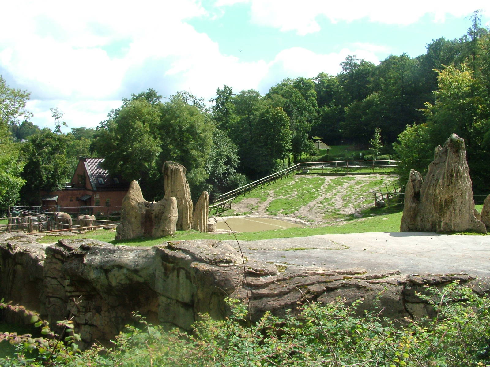 Elephant Paddock at Opel-Zoo Kronberg, 30/08/10