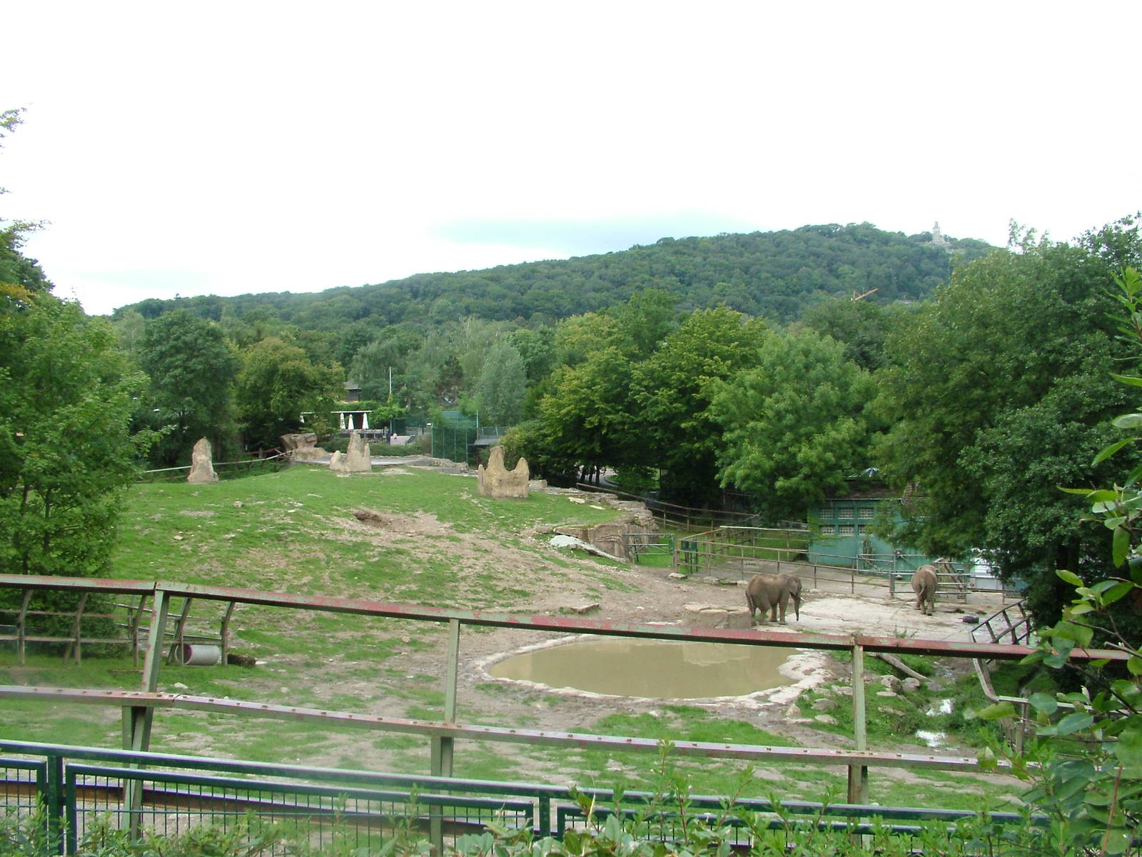 Elephant Paddock at Opel-Zoo Kronberg, 30/08/10