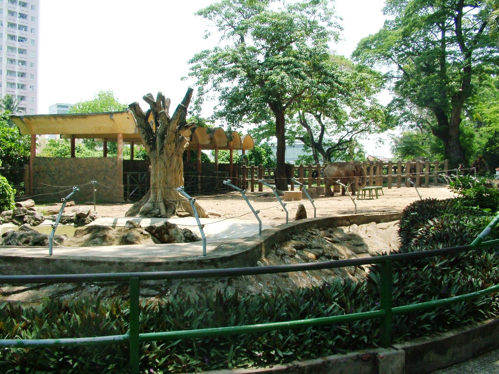 Elephant Paddock at Saigon Zoo, 16/03/12
