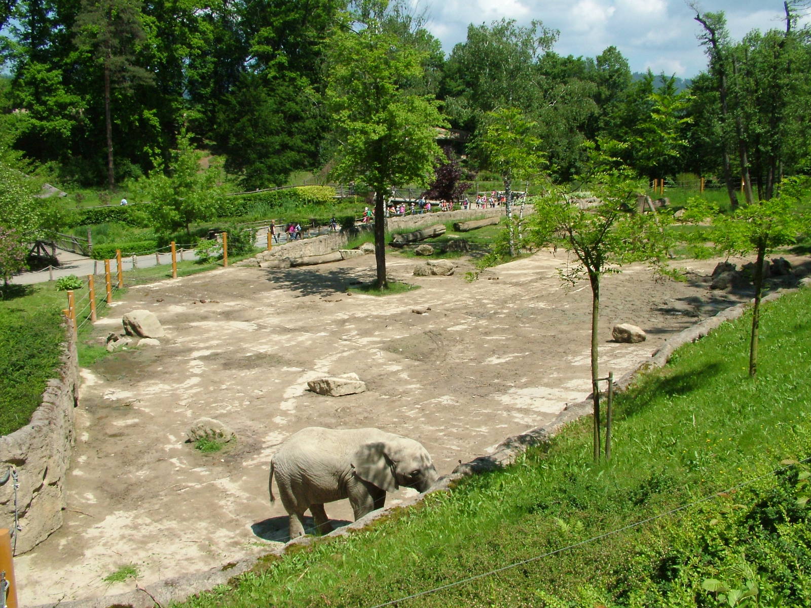 Elephant paddock at Zlin, 28/05/10