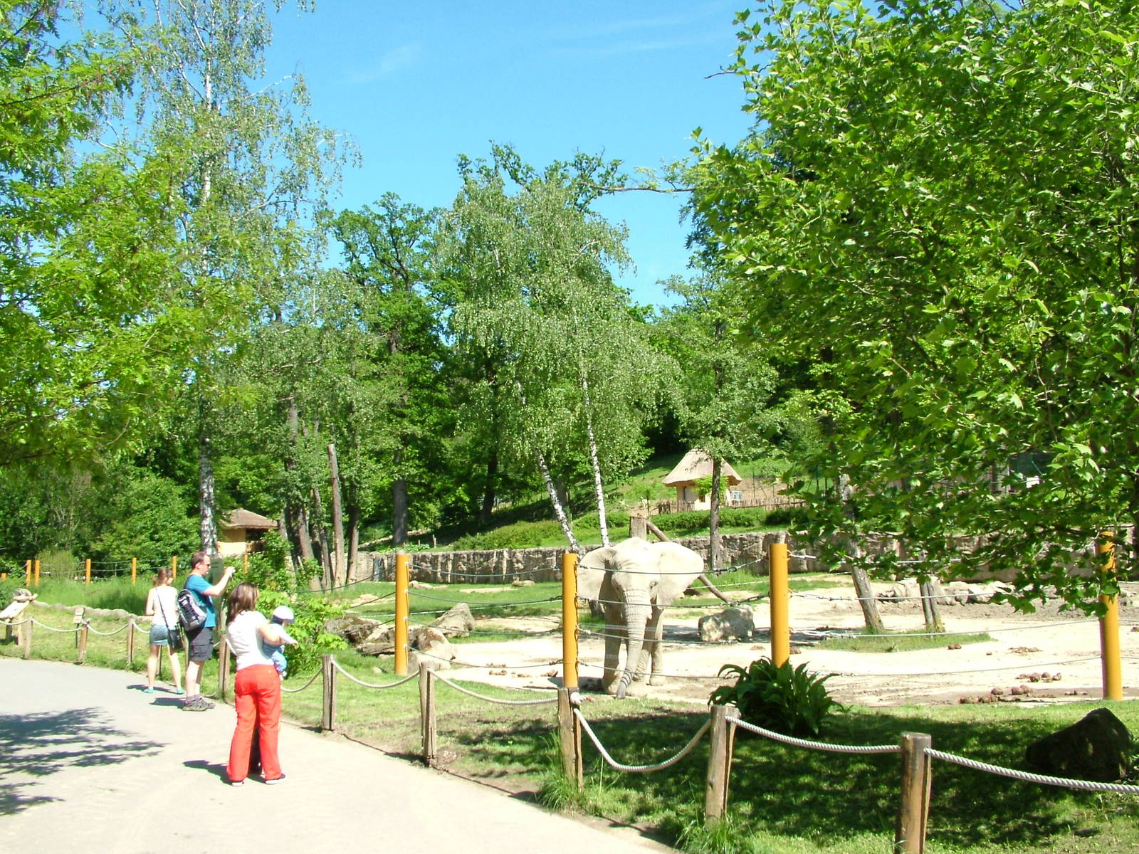 Elephant paddock at Zlin, 28/05/10