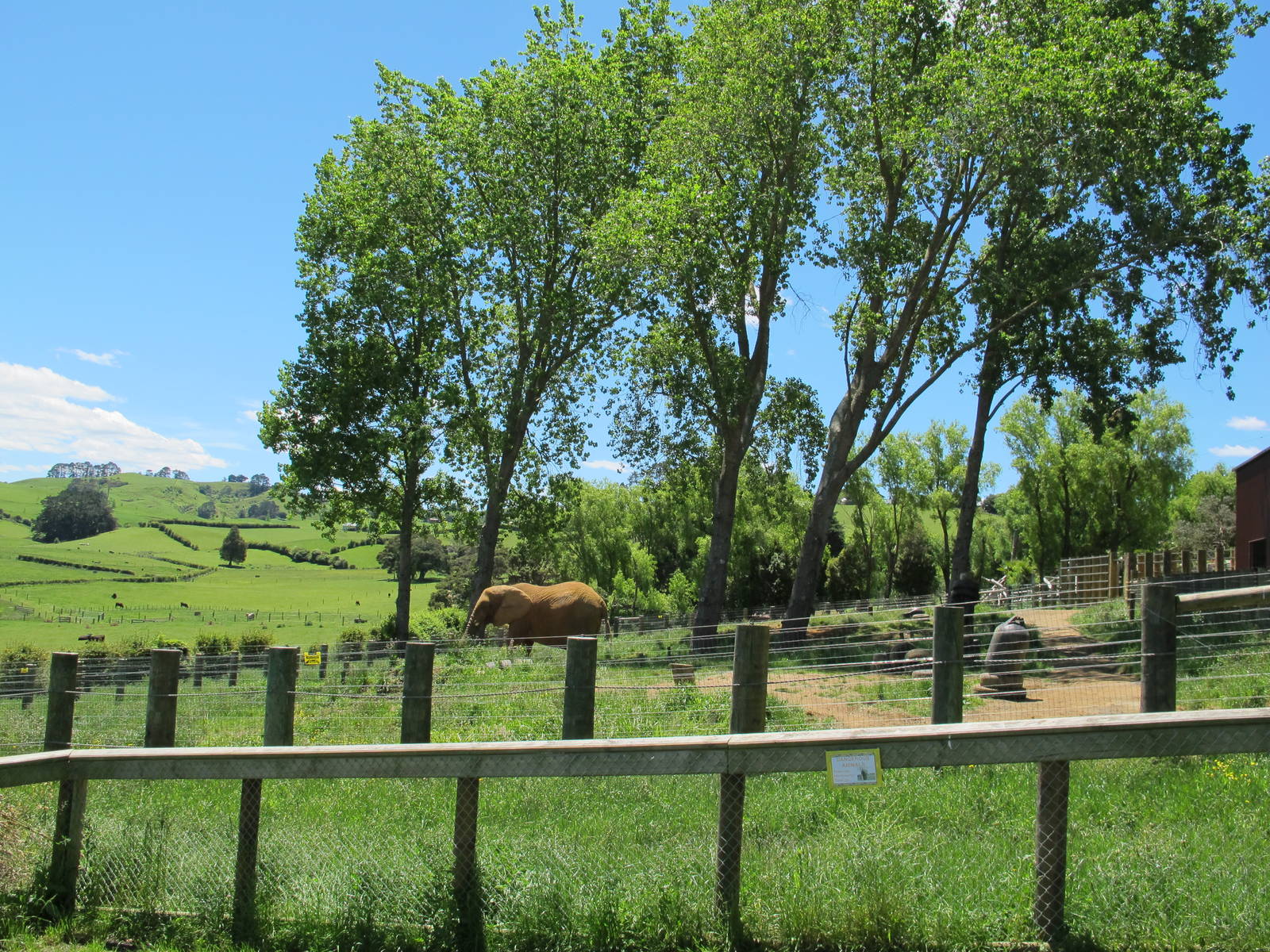 Elephant Paddock - Franklin Zoo