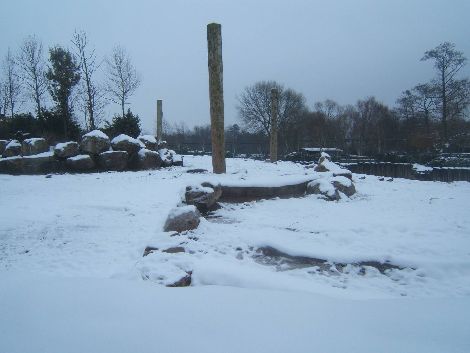 Elephant Paddock in Snow