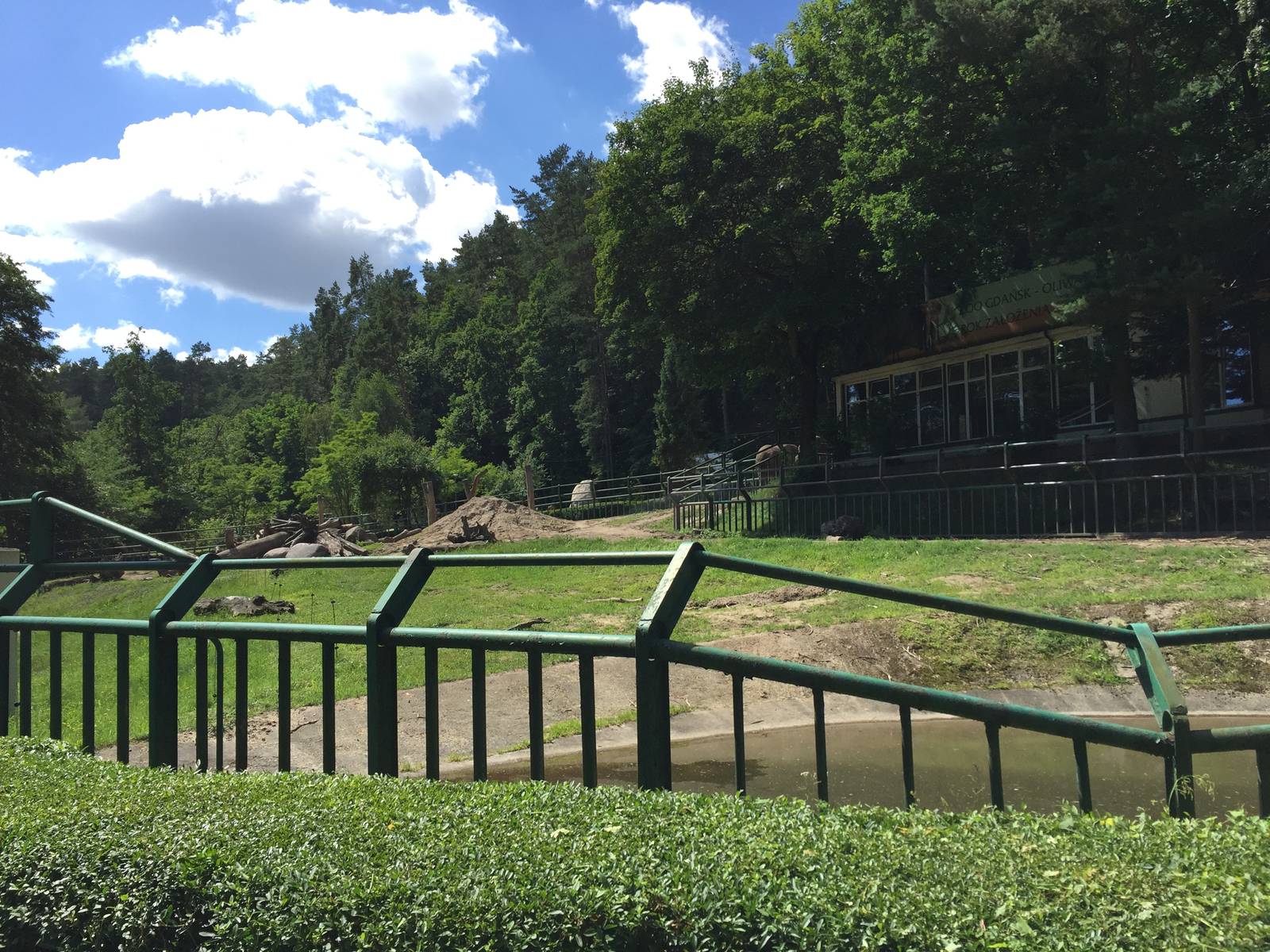 Elephant paddock - Zoo Gdansk 20.07.16.