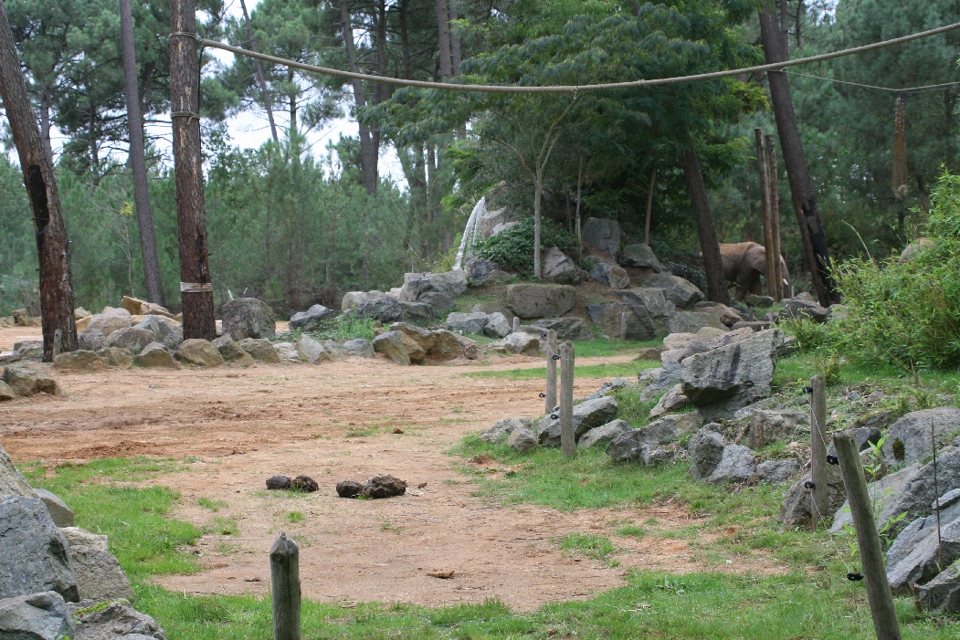 Elephant Paddock