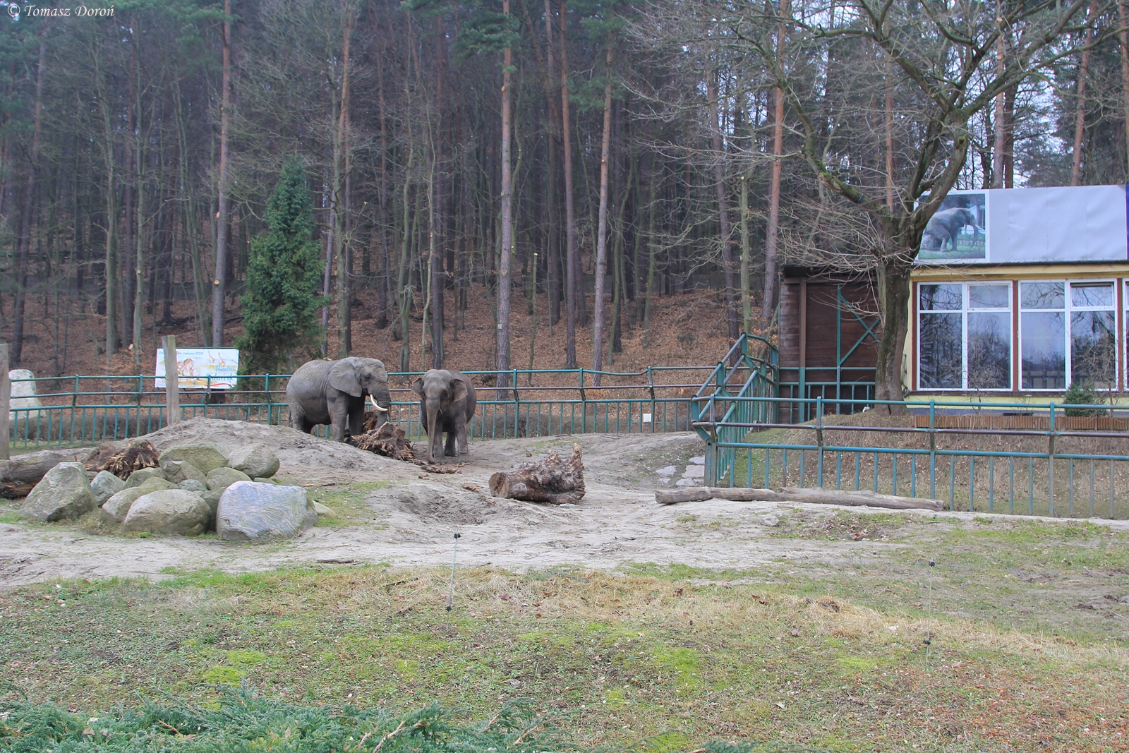 Elephant paddock